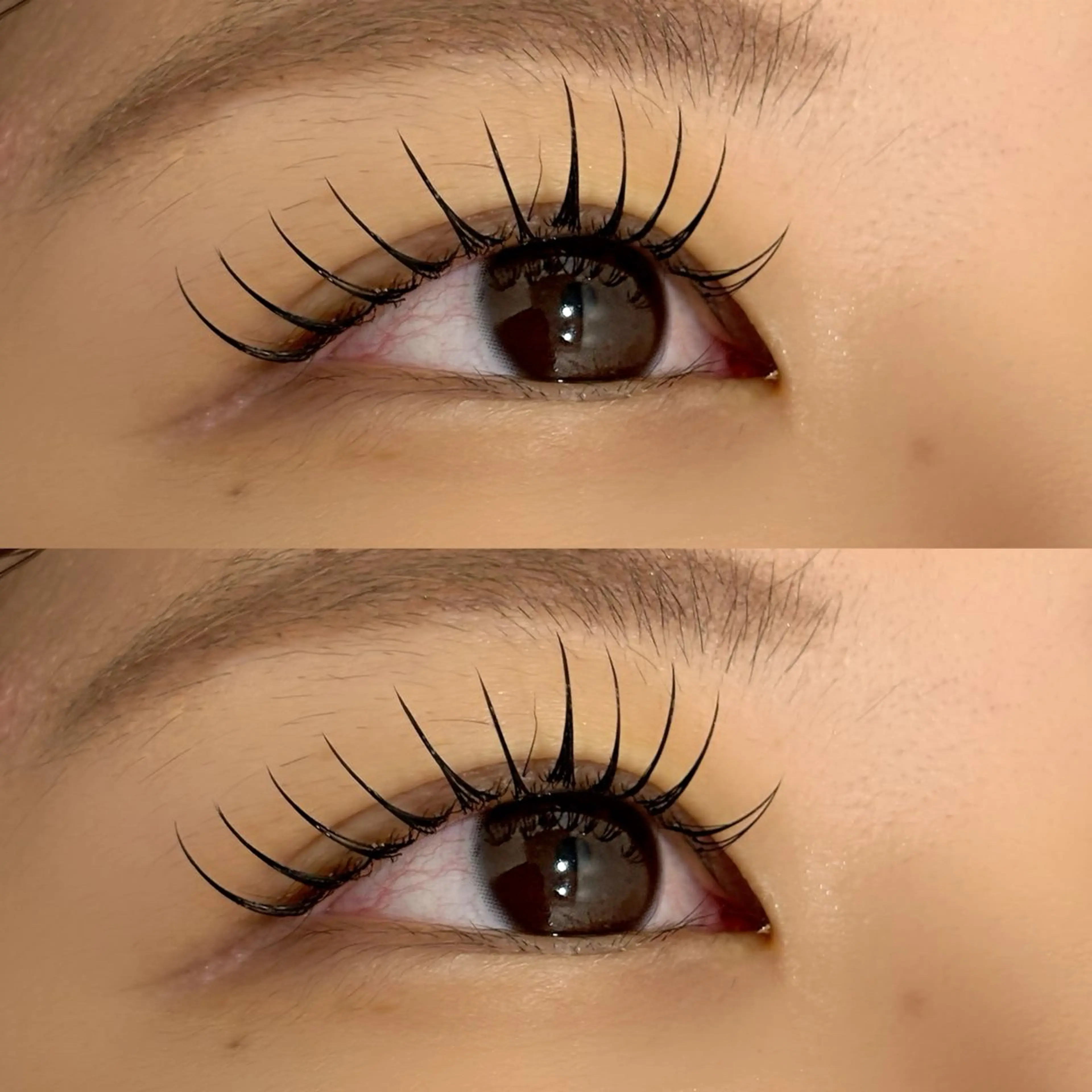 【オフ別】🌼リフエク　フラットラッシュ80本🌼の写真