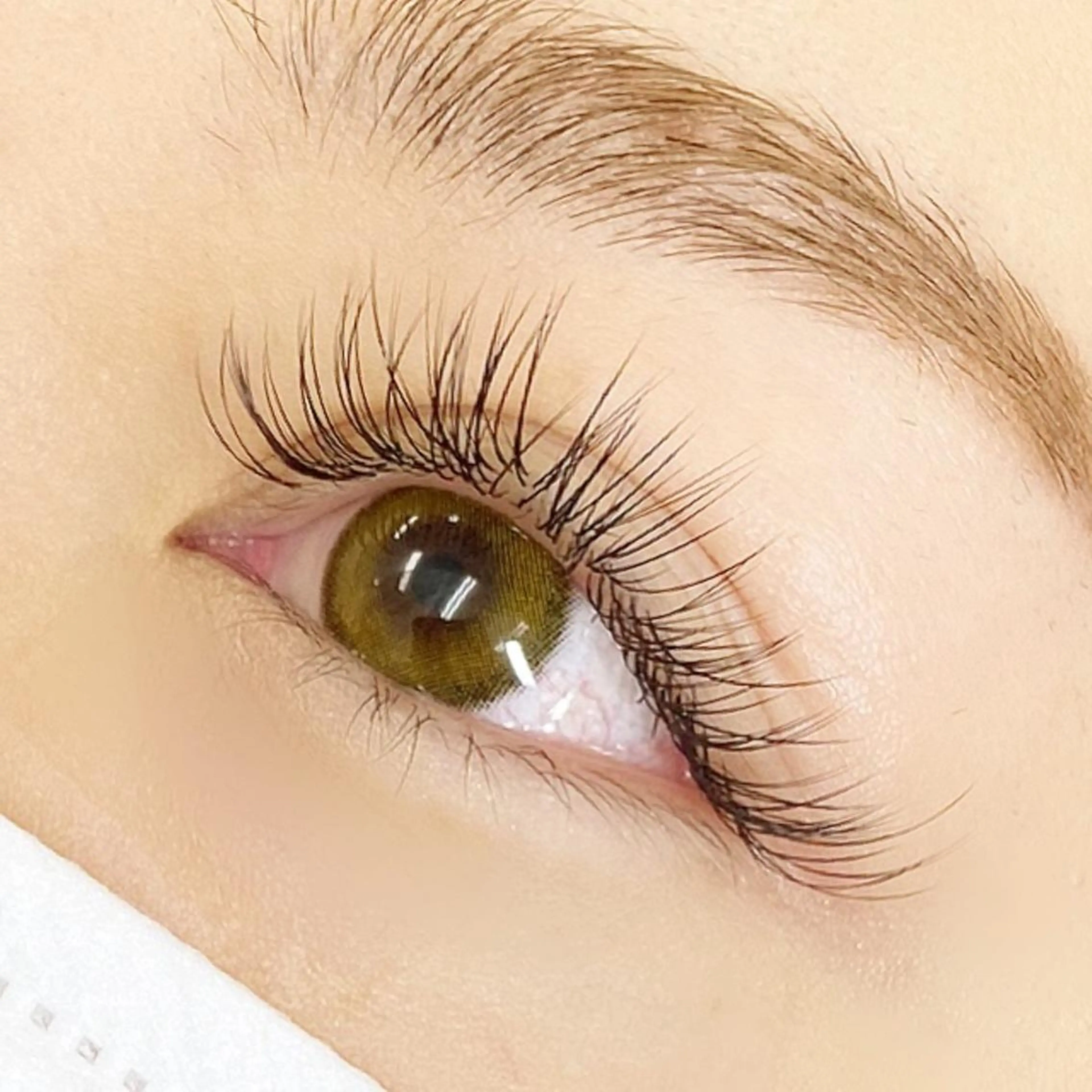 マツエク・マツパ eyelash R𓇼eri🐈️の眉毛・アイブロウイメージ