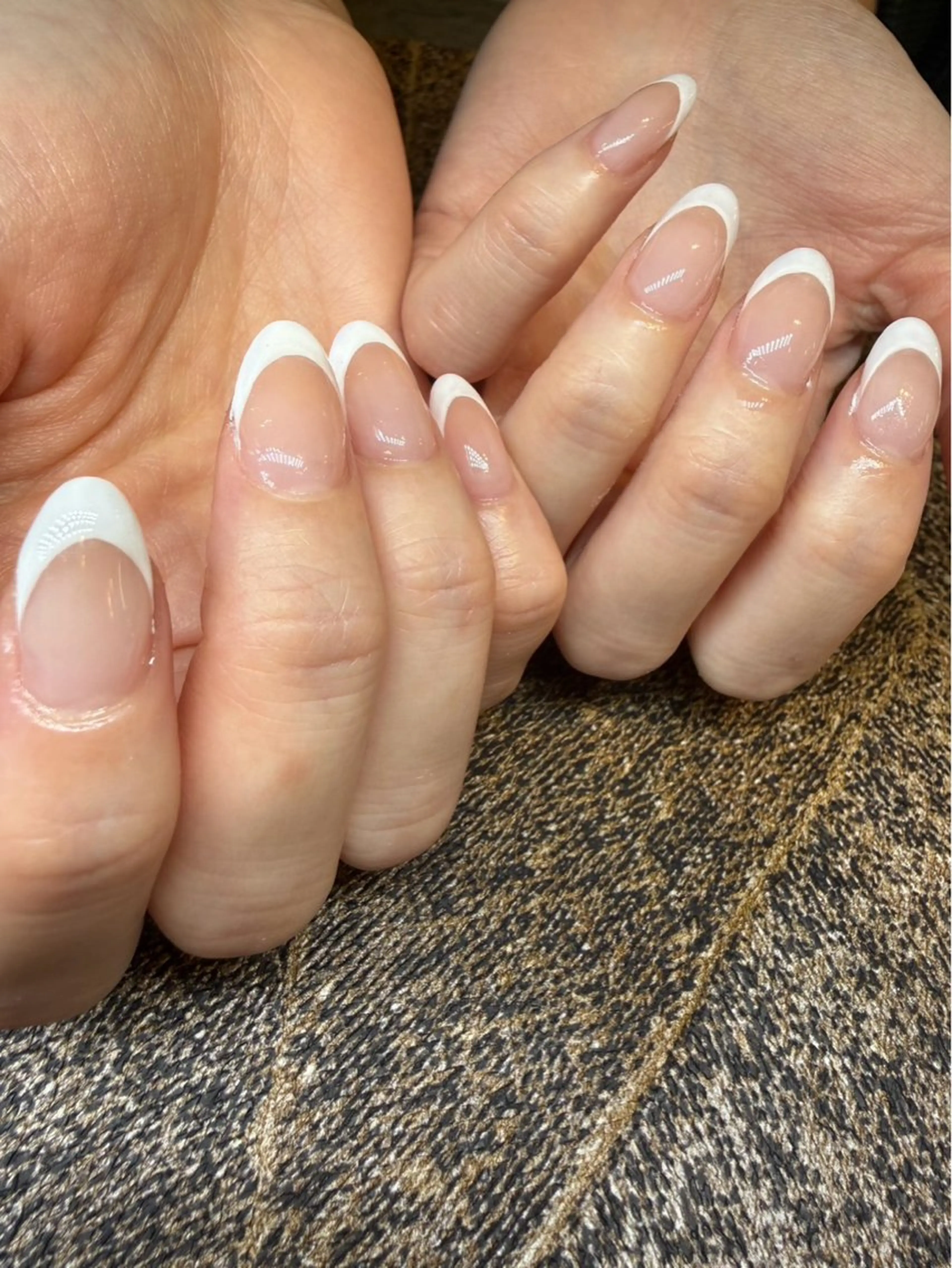 フレンチ　オフなしの写真