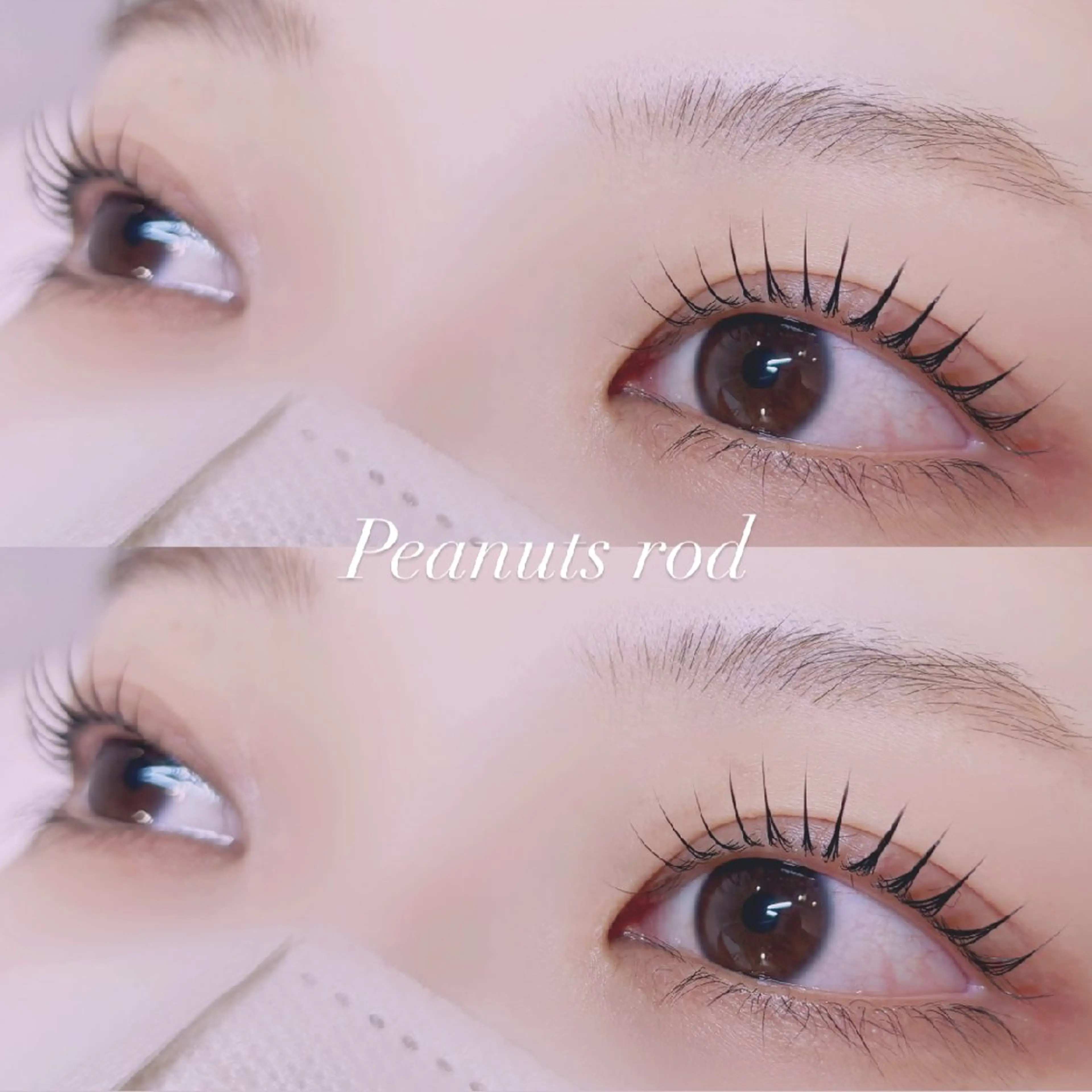 マツエク・マツパ 🐩Pupu lash🐩のマツエク・マツパデザイン