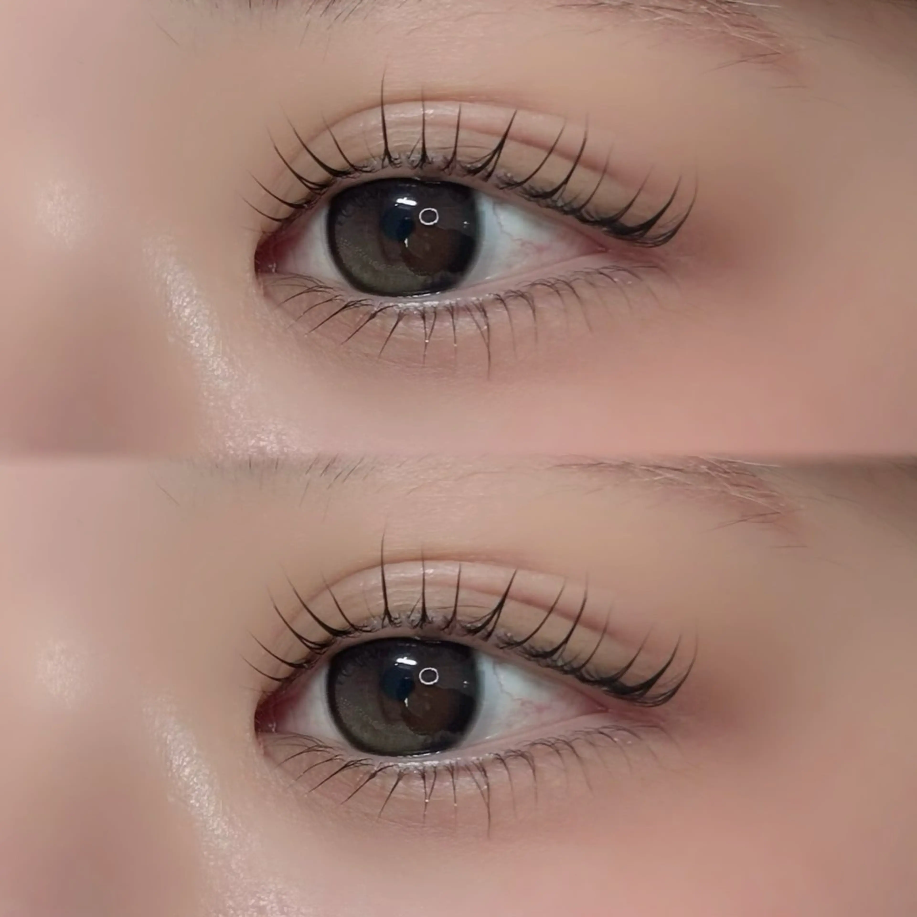 すぐ予約可✨パリジェンヌラッシュリフト💞コーティング剤仕上げ付き♪(束感仕上げ可)の写真