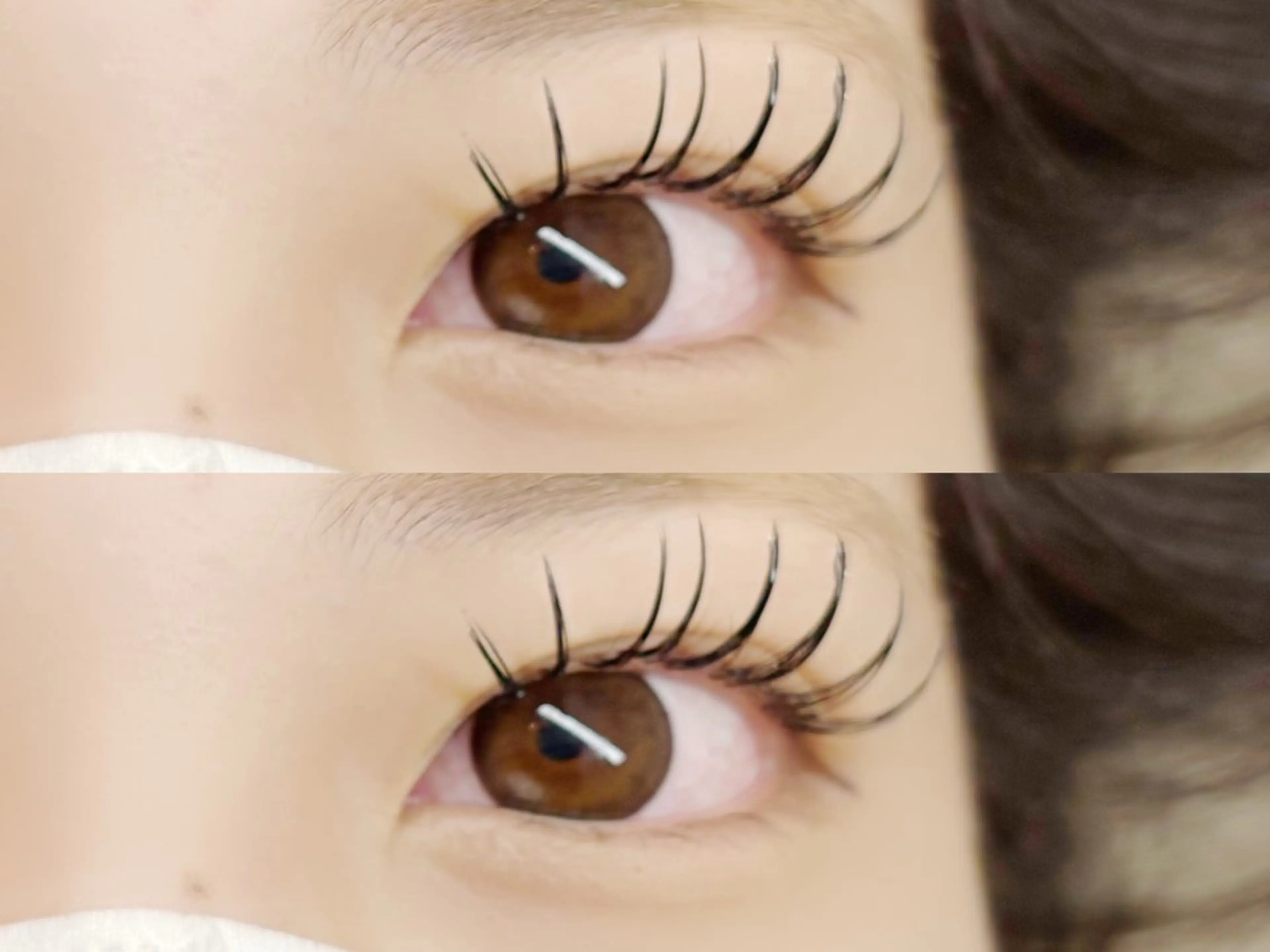 ãããšã¯ã»ããã ãããšã¯ TOP æåŠ»ã®ãããšã¯ã»ããããã¶ã€ã³