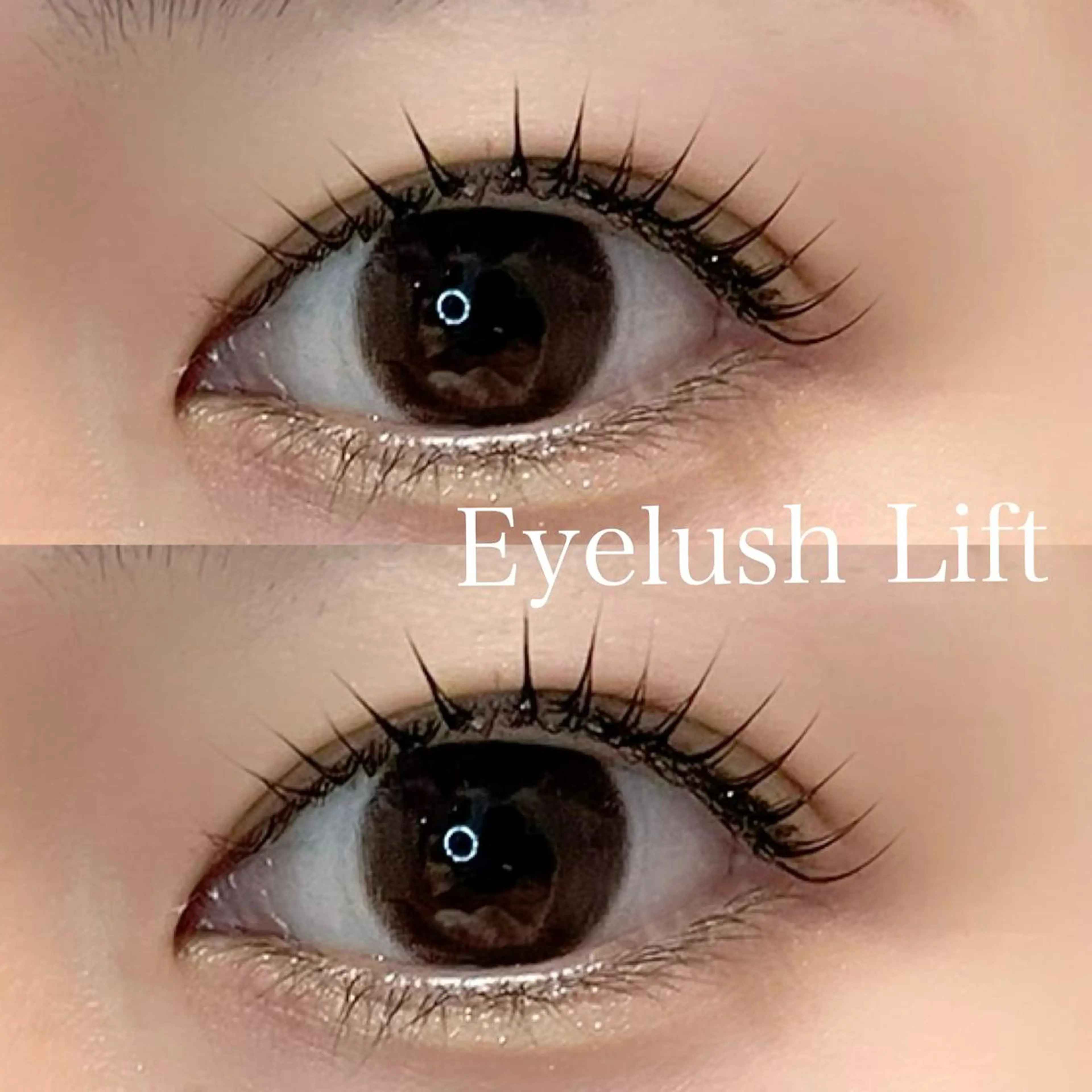 マツエク・マツパ ヘアアレンジ🪽🎀 艶カラー/天王寺のヘアスタイル