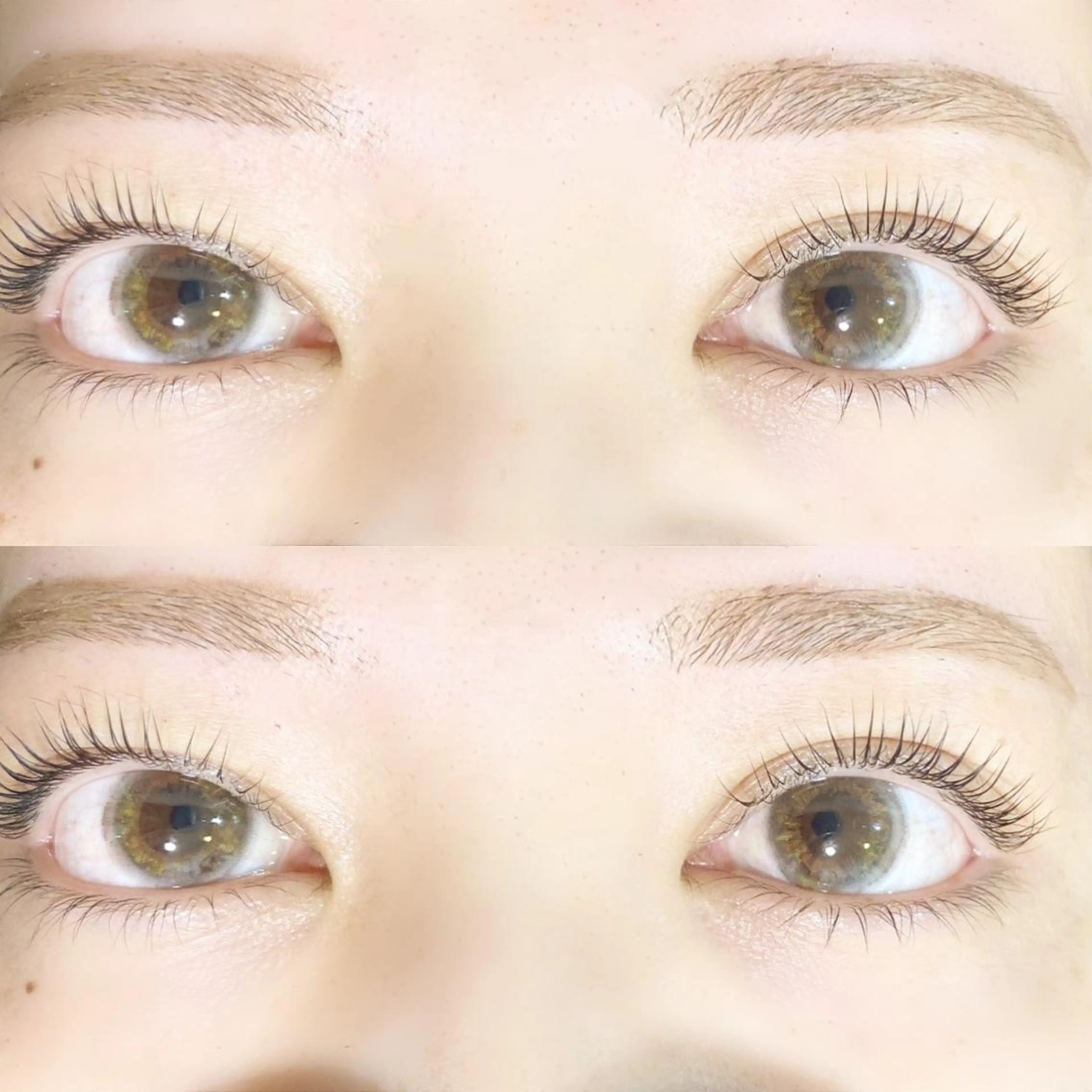 マツエク・マツパ パリジェンヌラッシュリフト mocca🕊🫧 ayamiのマツエク・マツパデザイン