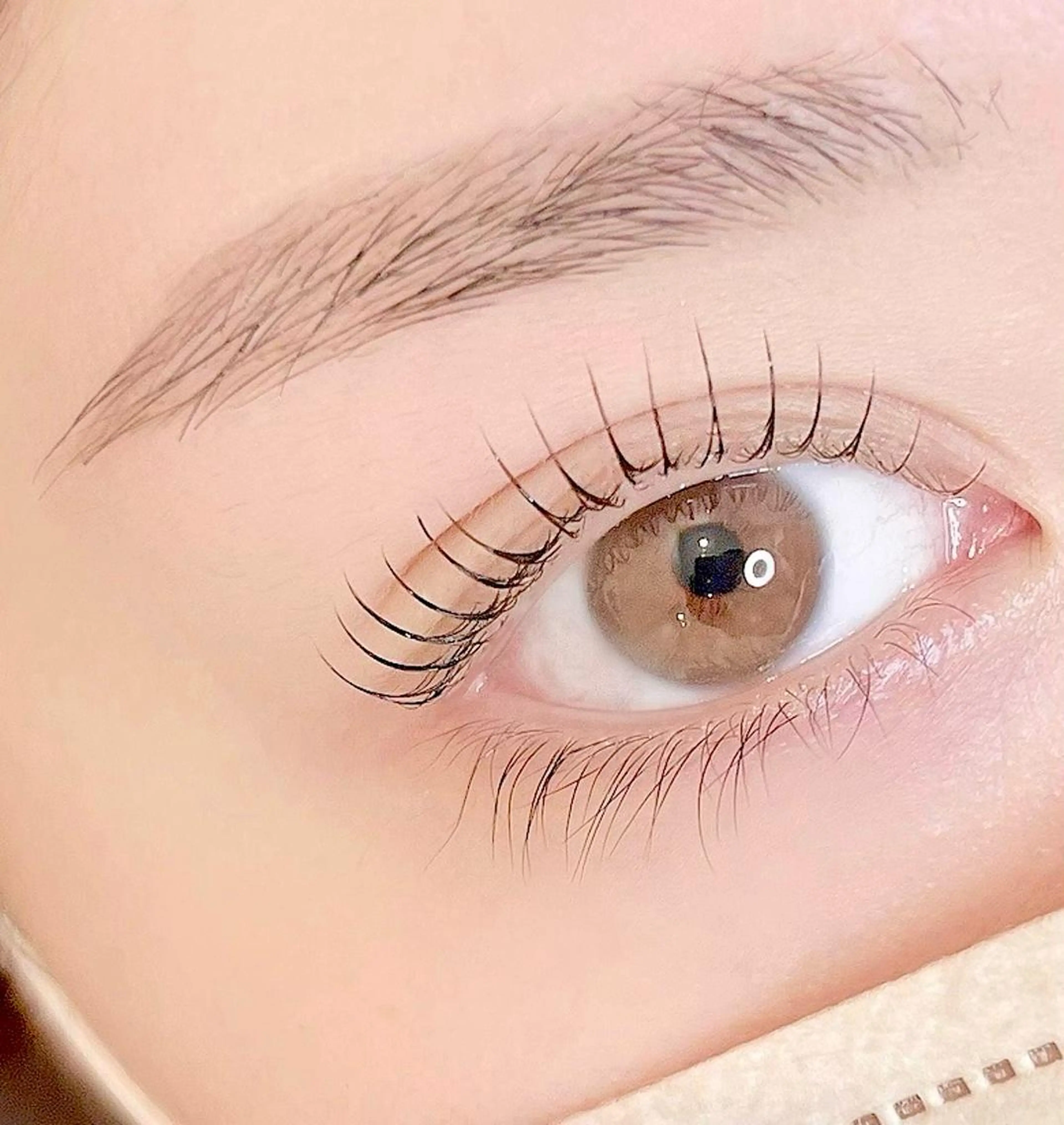 マツエク・マツパ アイブロウ まつげパーマ Largo🌿 明治神宮前／表参道のマツエク・マツパデザイン