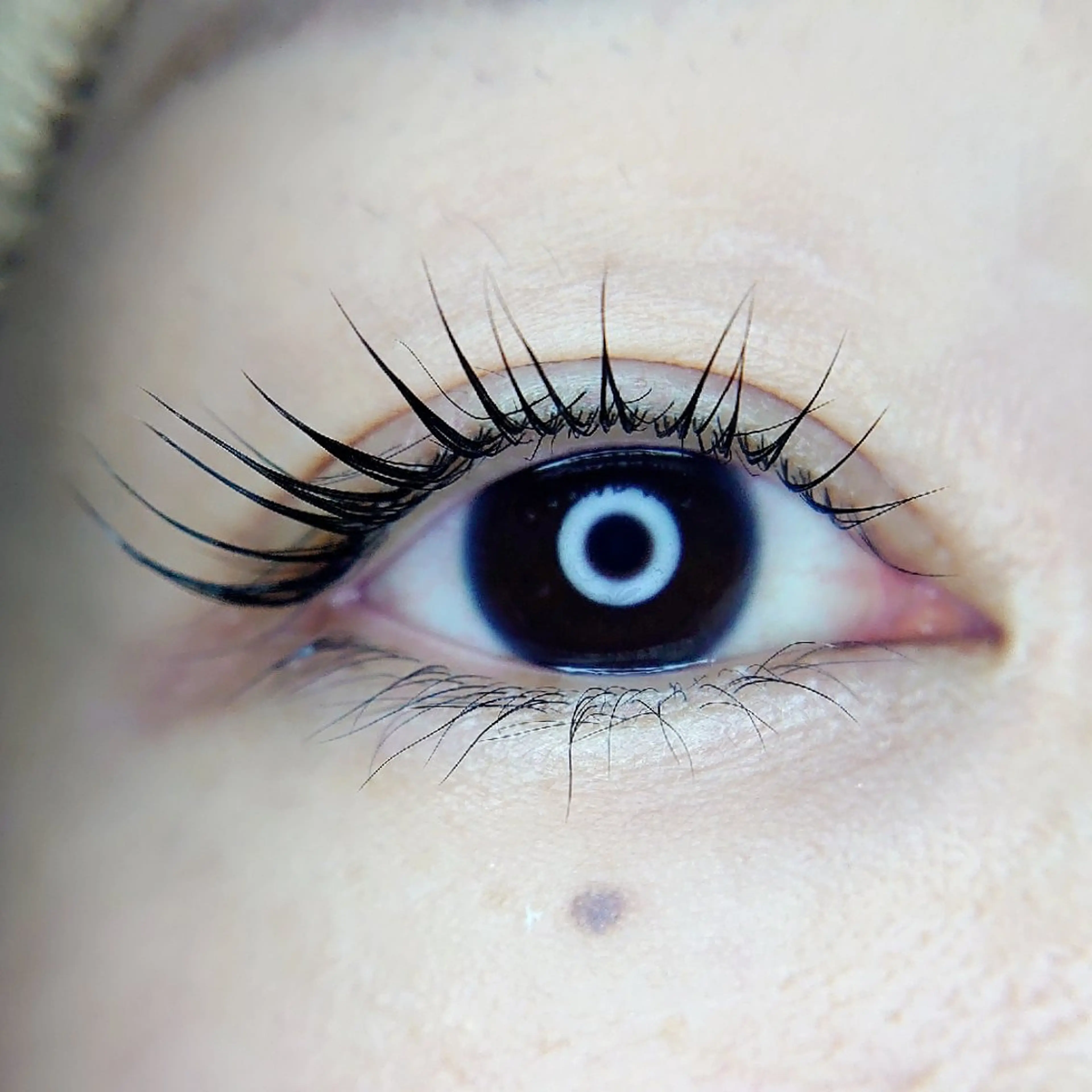 マツエク・マツパ Chelu TOMのマツエク・マツパデザイン