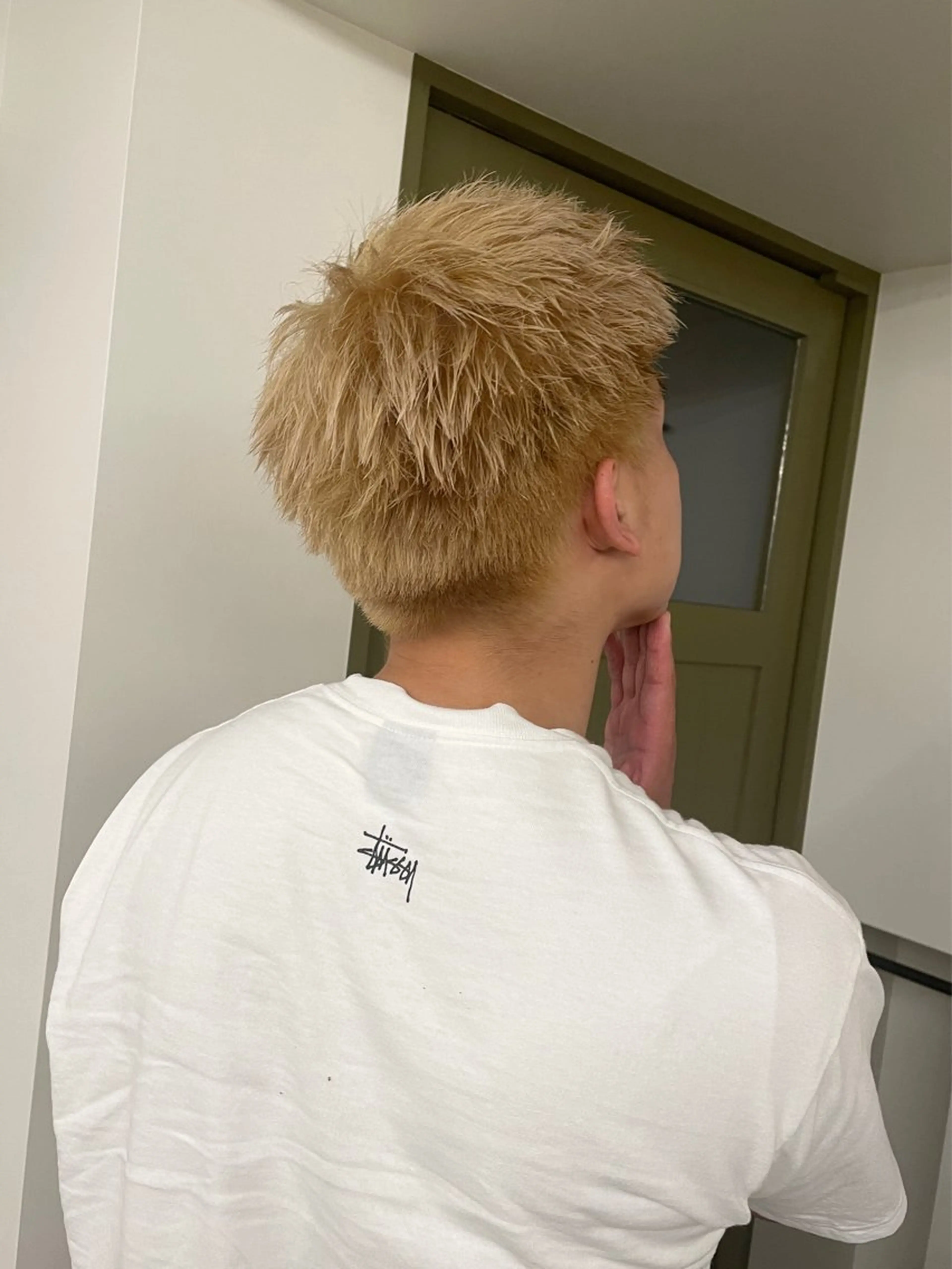 ショート カラー メンズ ヘアカラー トリートメント ヘアセット ブリーチモデル/ カットモデル/Riaのヘアスタイル