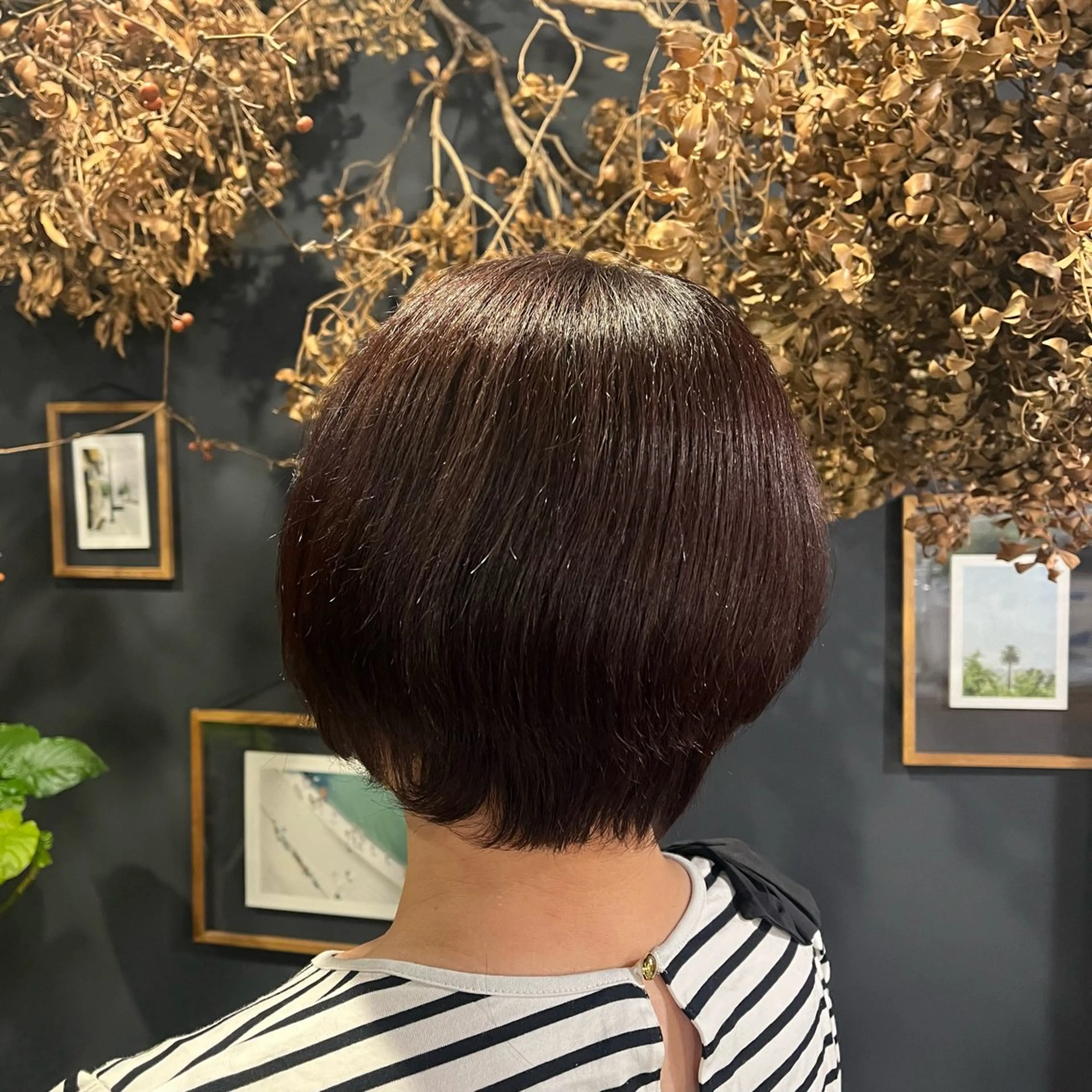 ショート 丸みショート ショートヘア 岸本 まほのヘアスタイル