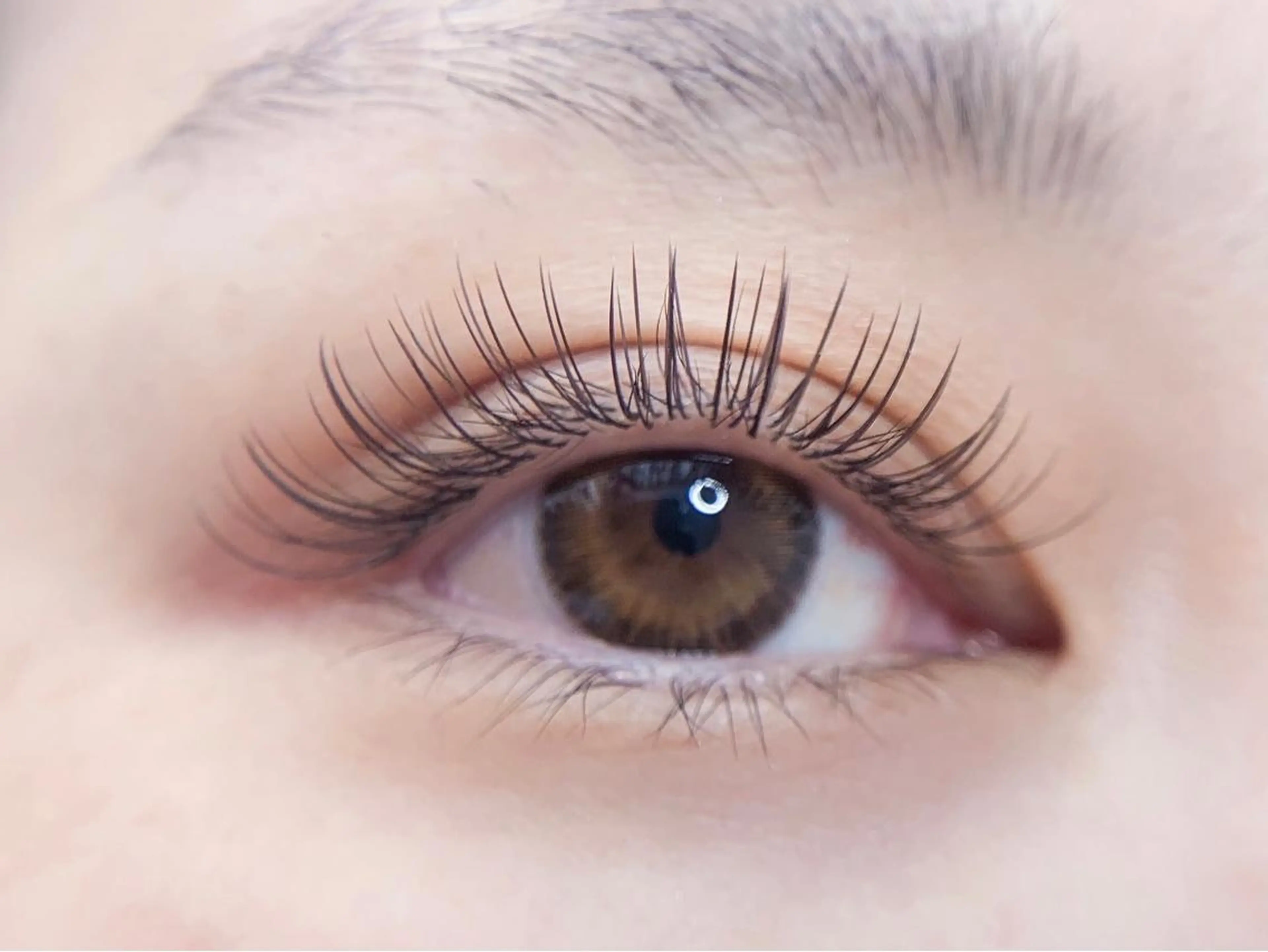 マツエク・マツパ カラーマツエク ラヴィー所属・マツエク専門店 Laviy博多の眉毛・アイブロウイメージ