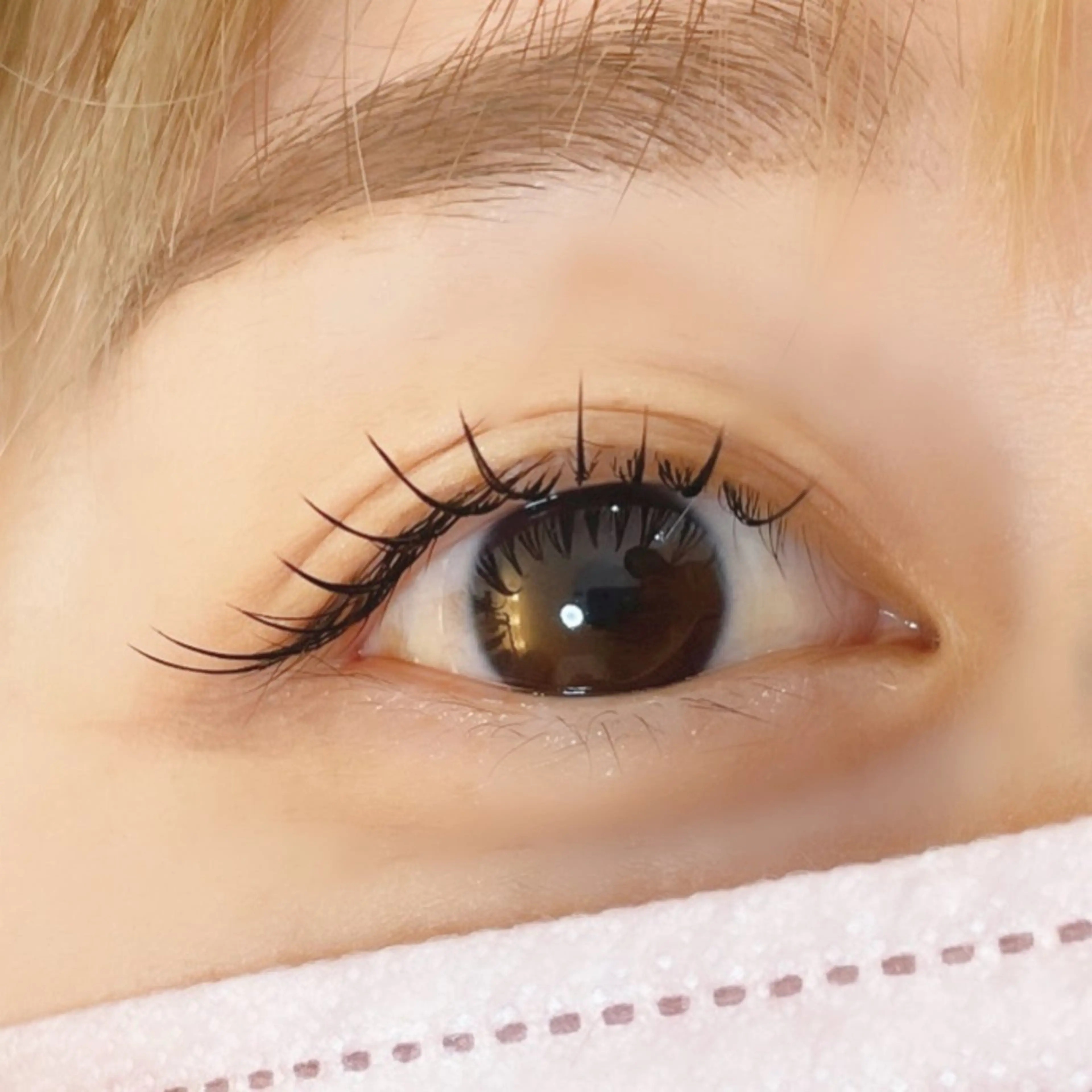 マツエク・マツパ 束感まつ毛 フラットラッシュ 🍄tsumori kasumi🍄のマツエク・マツパデザイン