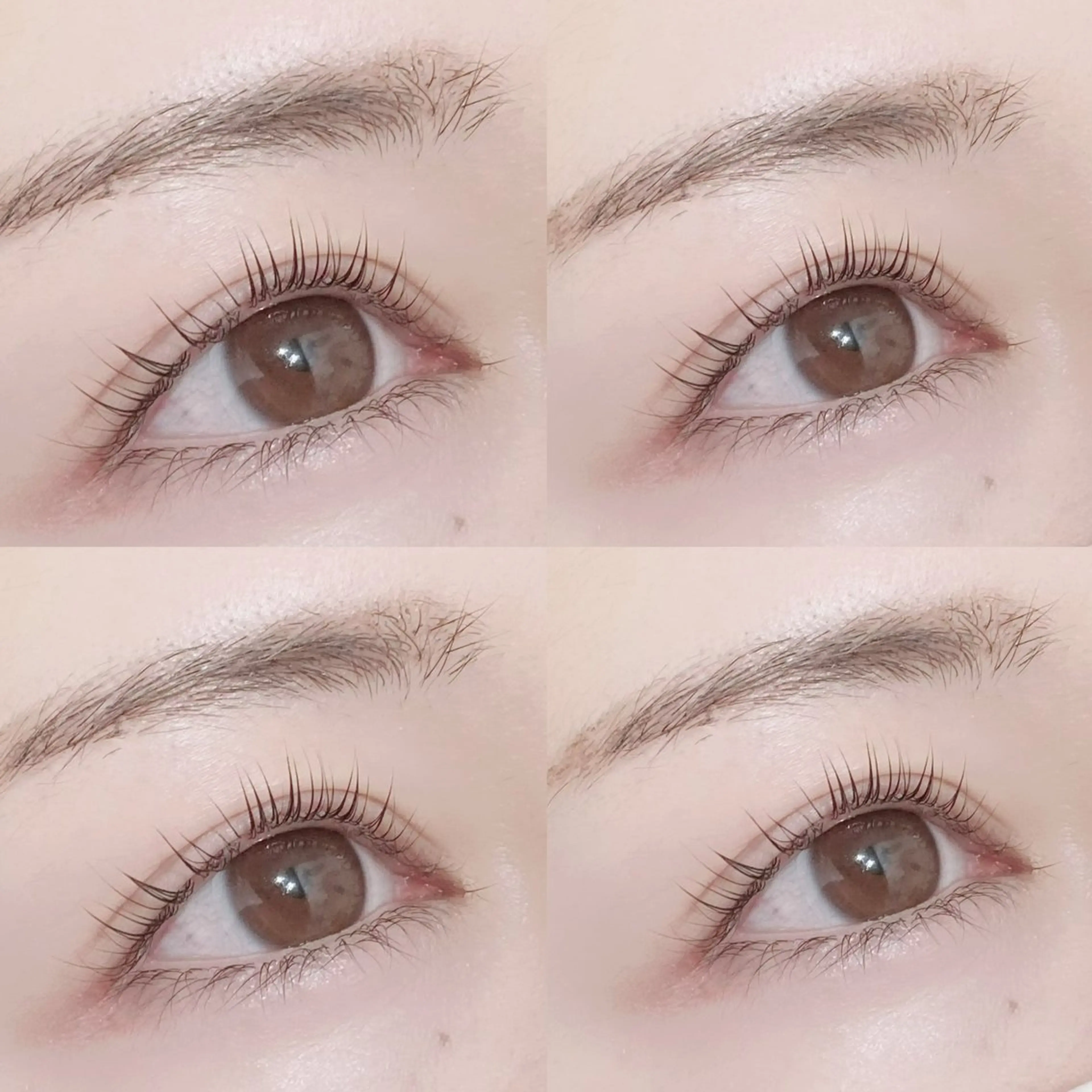 マツエク・マツパ eyelash Aoのマツエク・マツパデザイン