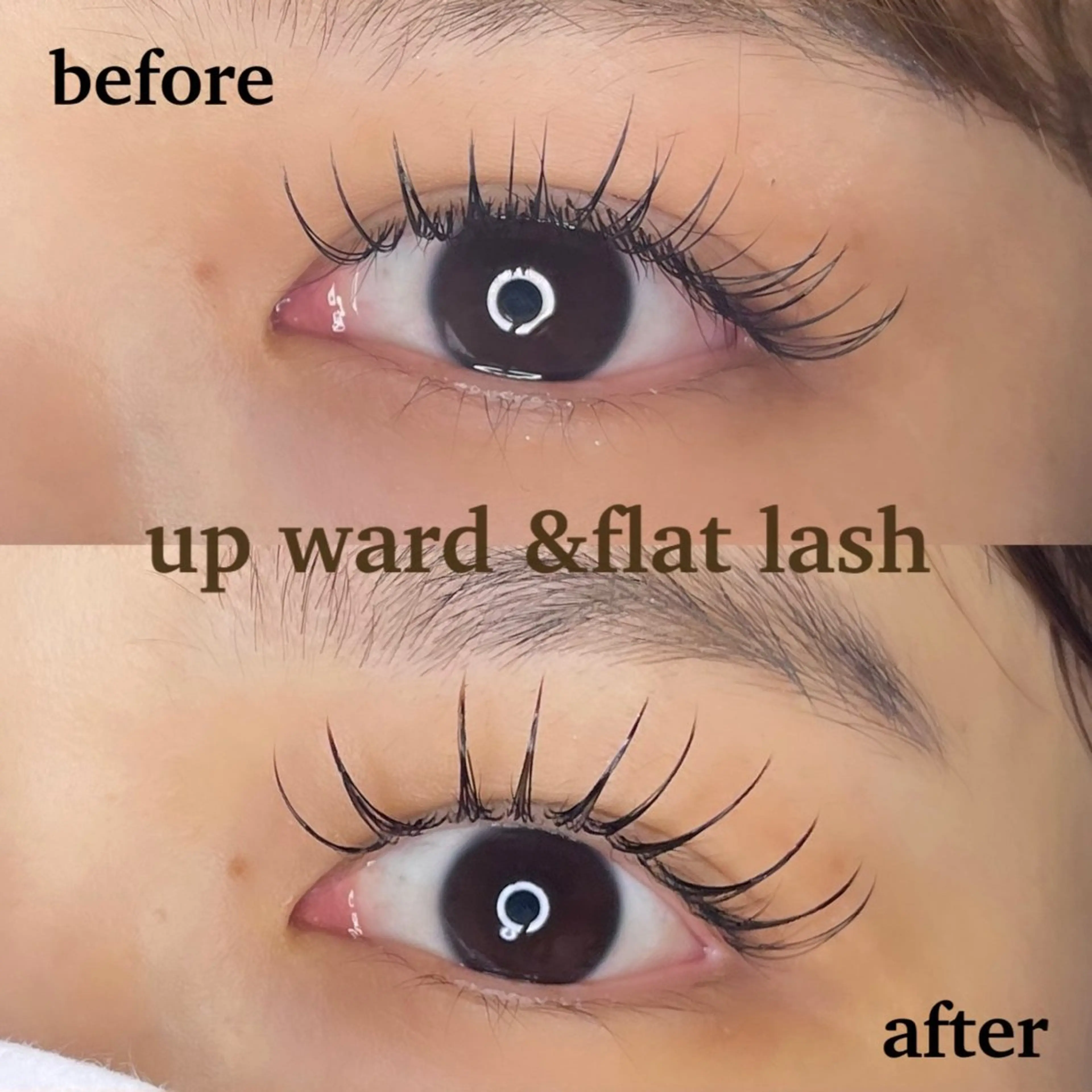 フラットラッシュ➕up ward lashの写真