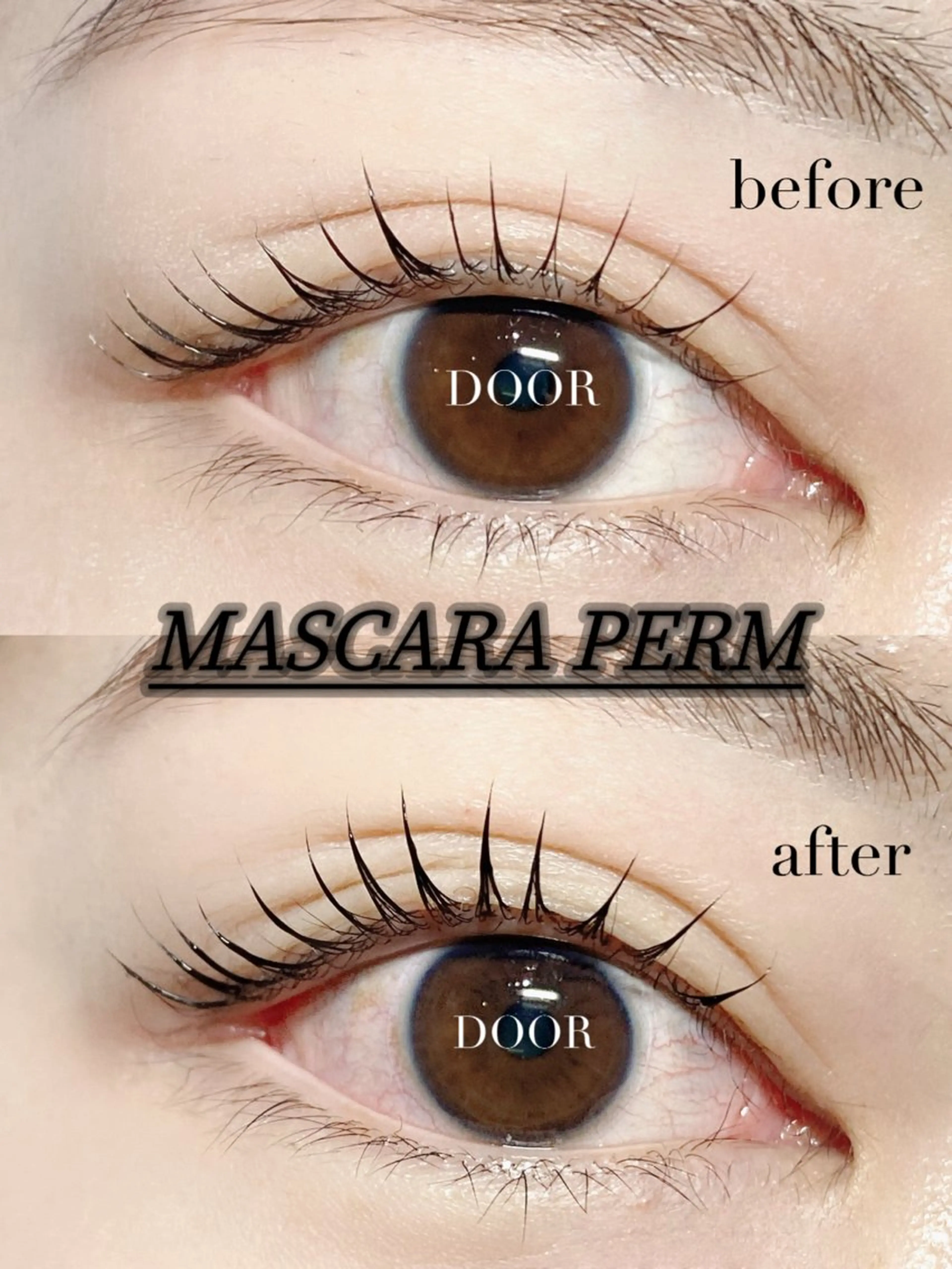 4月13.14日ご新規様限定パリジェンヌorパーマ+アイシャンプー+コーティング仕上げマ[ブラックティント+500円]の写真