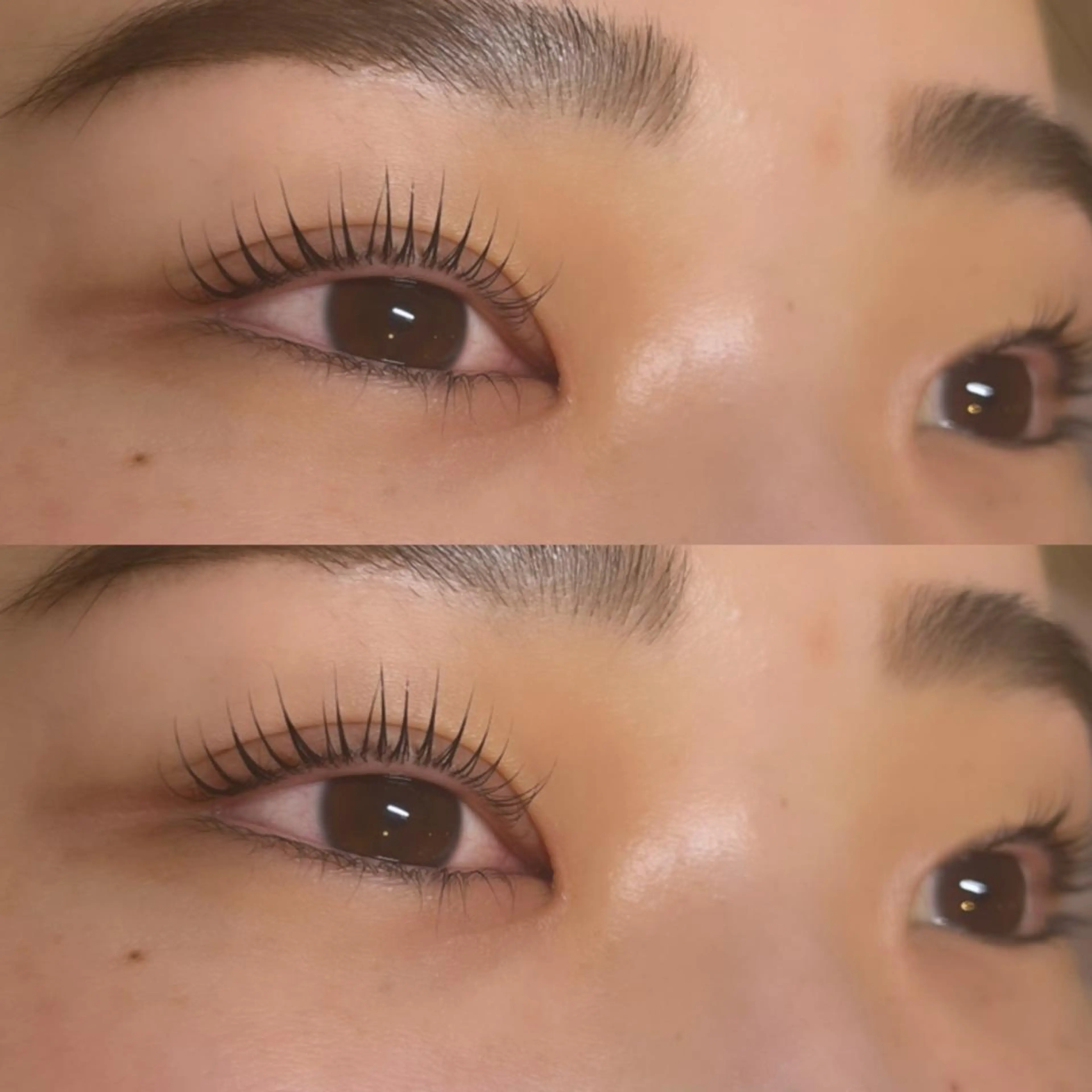 マツエク・マツパ 木6 -キロク-🍀 辻彩花のマツエク・マツパデザイン