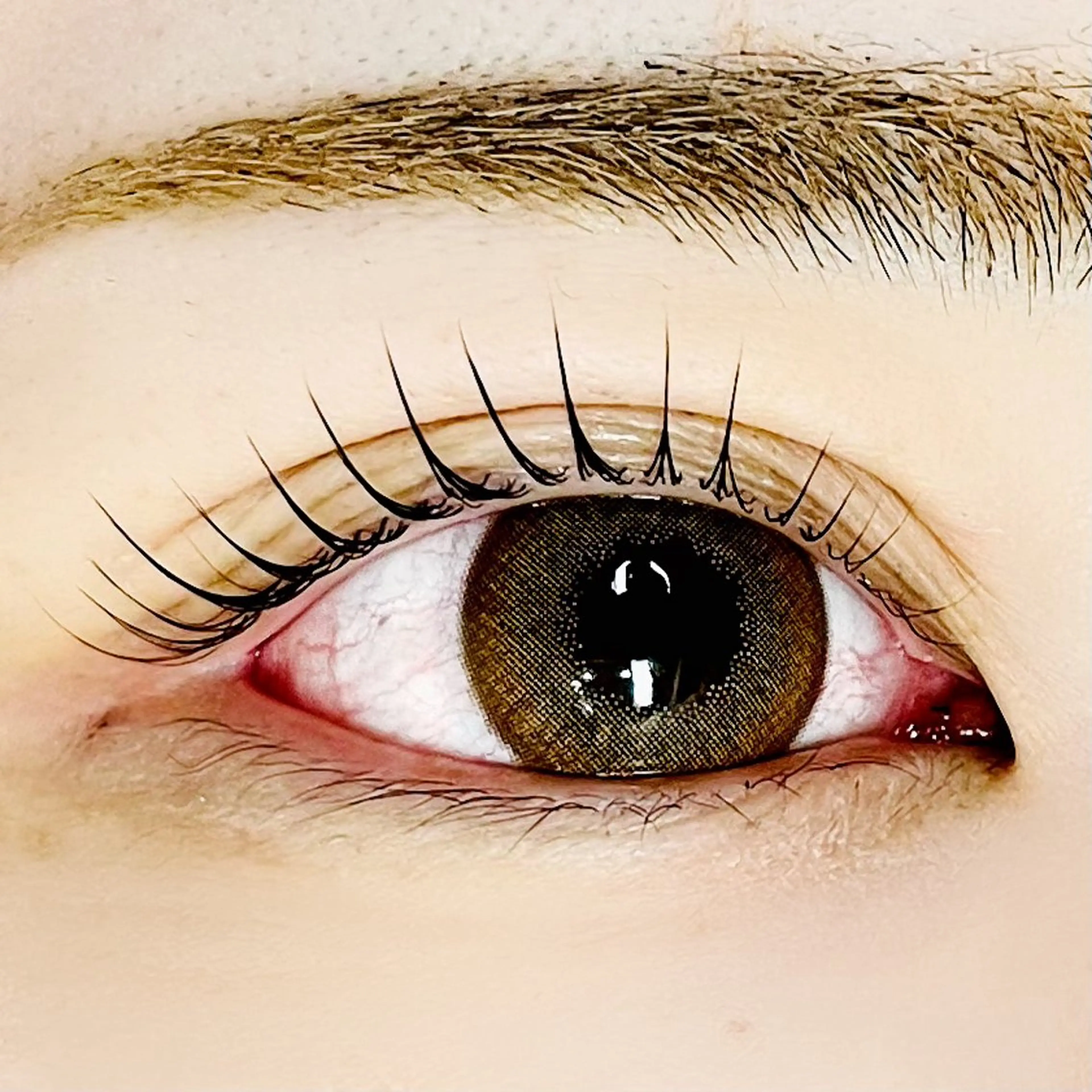 ★韓国で大人気🇰🇷マスカラパーマ/まつげティント/ティントパーマ★6900円の写真