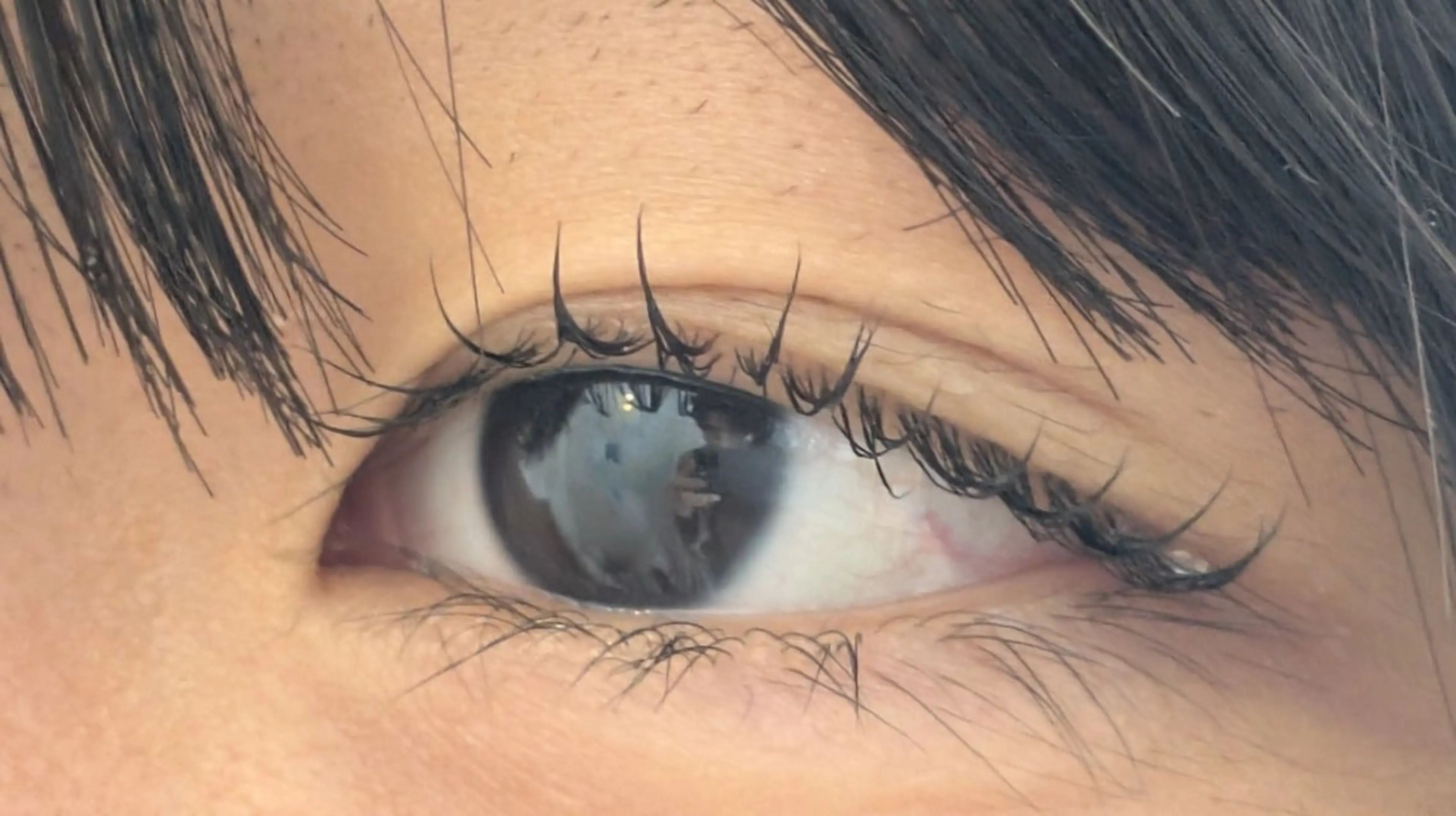 マツエク・マツパ まつげパーマ Sun Brown Ryu-gaのマツエク・マツパデザイン