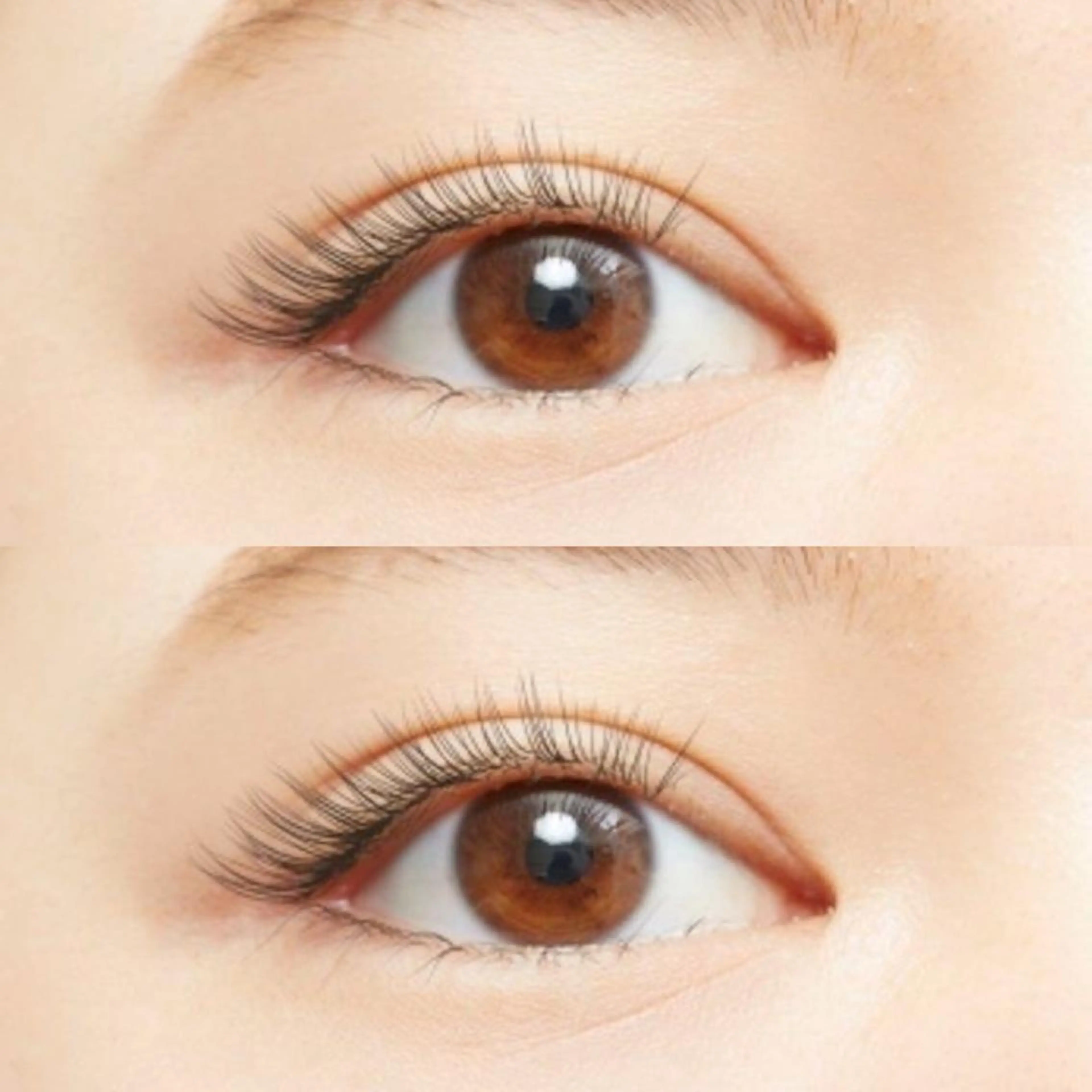 マツエク・マツパ chiri/似合わせ ×韓ドルまつ毛パーマのマツエク・マツパデザイン