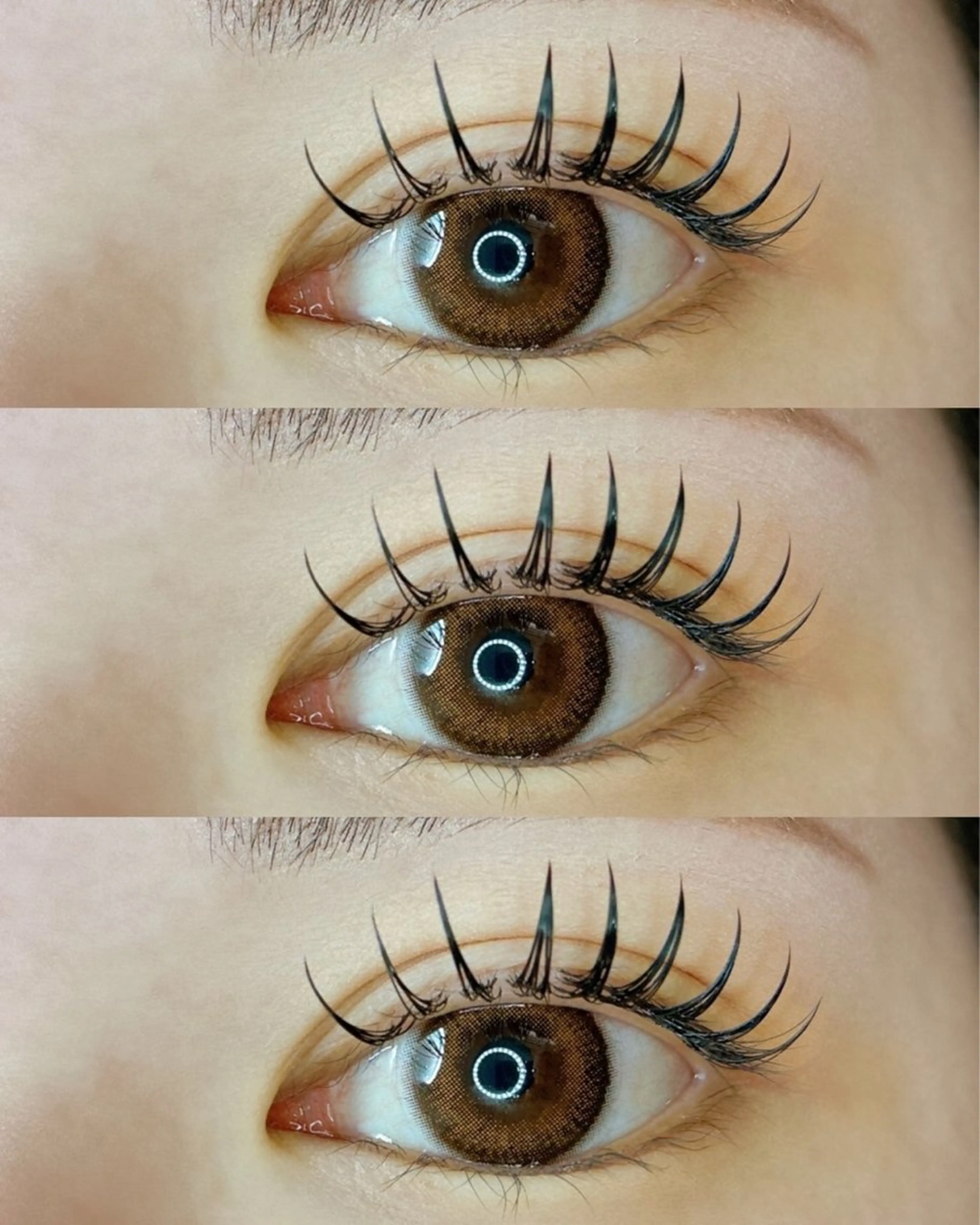 マツエク・マツパ Dカール マツエク UON【ｳｵﾝ】 Asuka🌼のマツエク・マツパデザイン