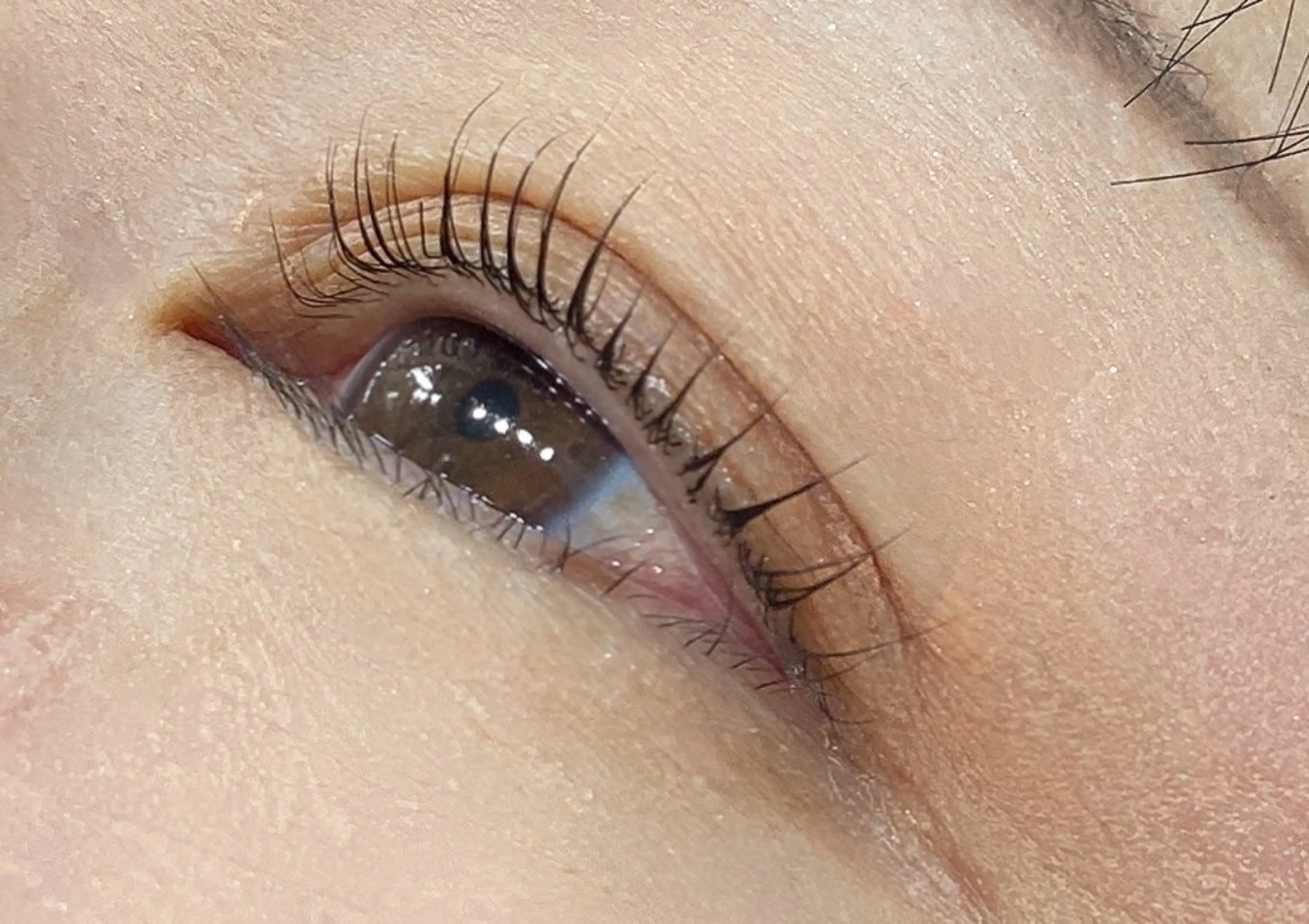 マツエク・マツパ まつげパーマ Ryume/ YUKARIのマツエク・マツパデザイン