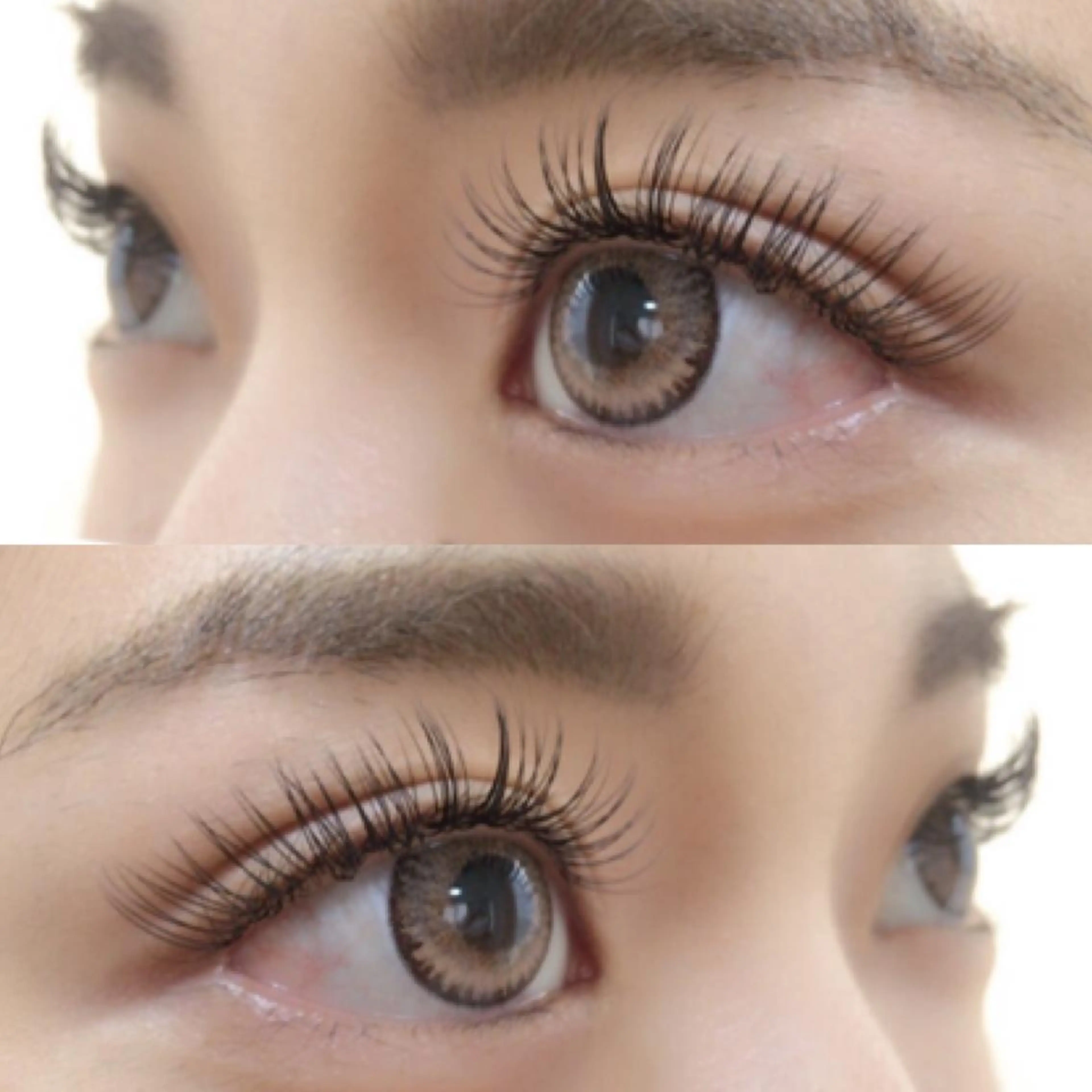 マツエク・マツパ Dカール アップワードラッシュ 平和島駅徒歩7分 Ayaのマツエク・マツパデザイン