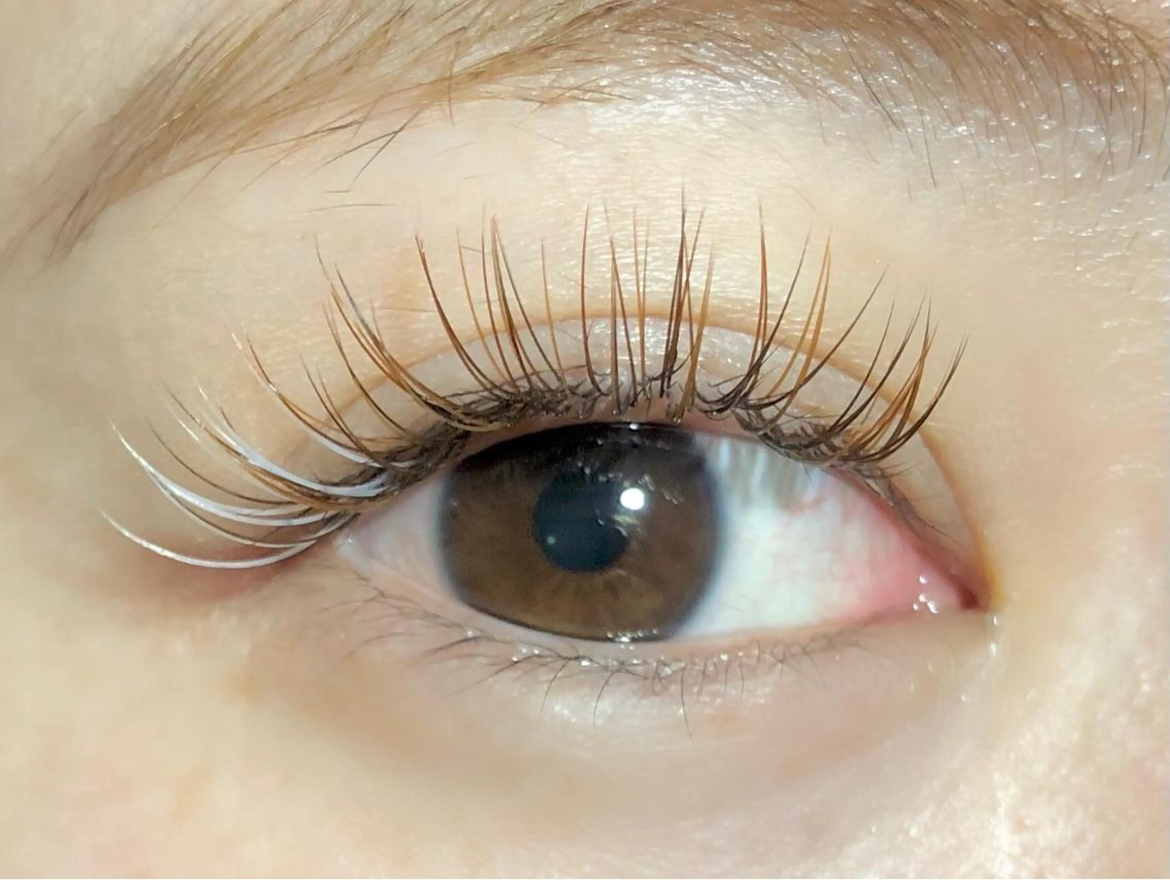 マツエク・マツパ カラーマツエク Favori 山下のマツエク・マツパデザイン