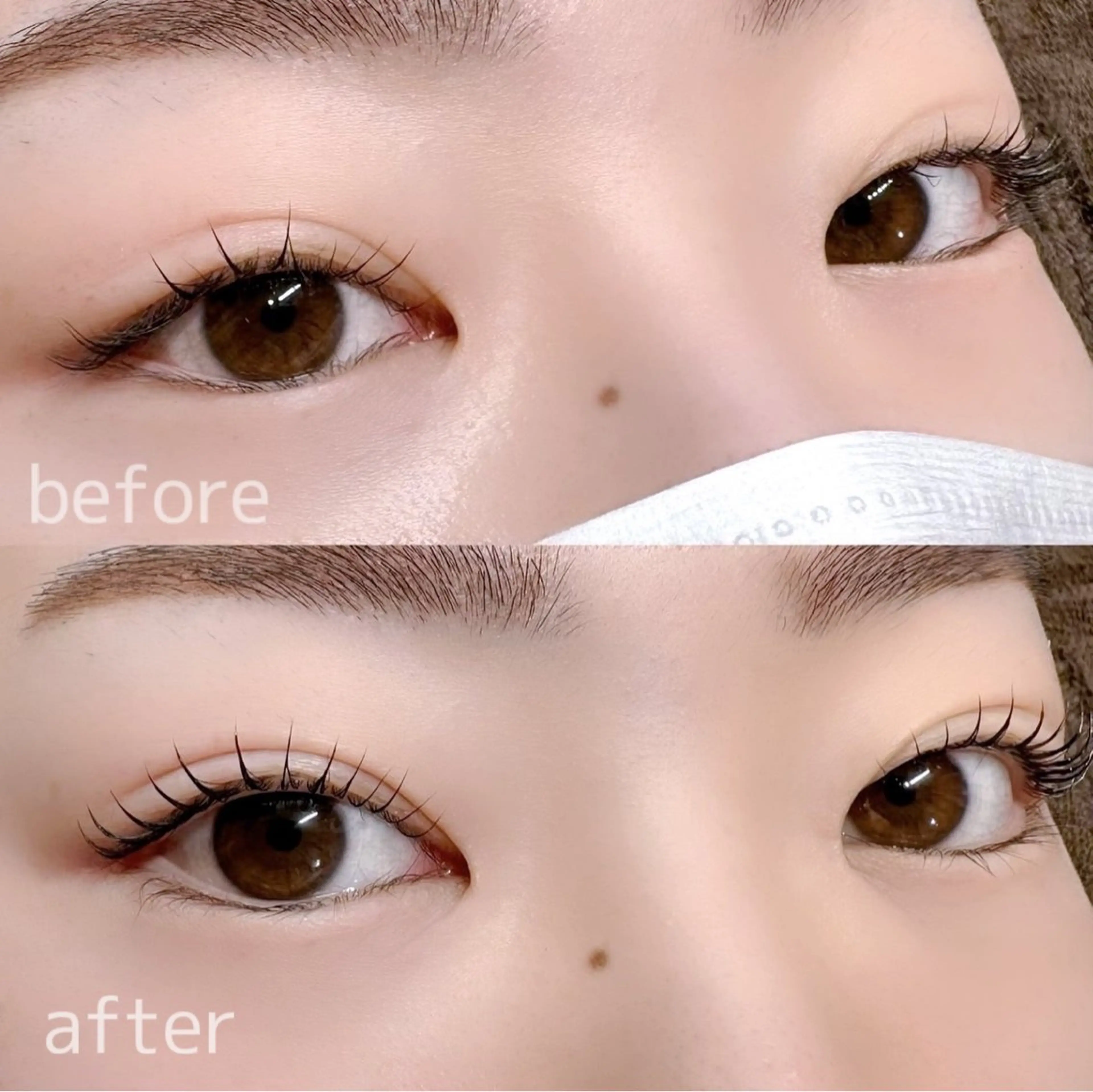 🎀高保湿まつ毛パーマ🎀の写真