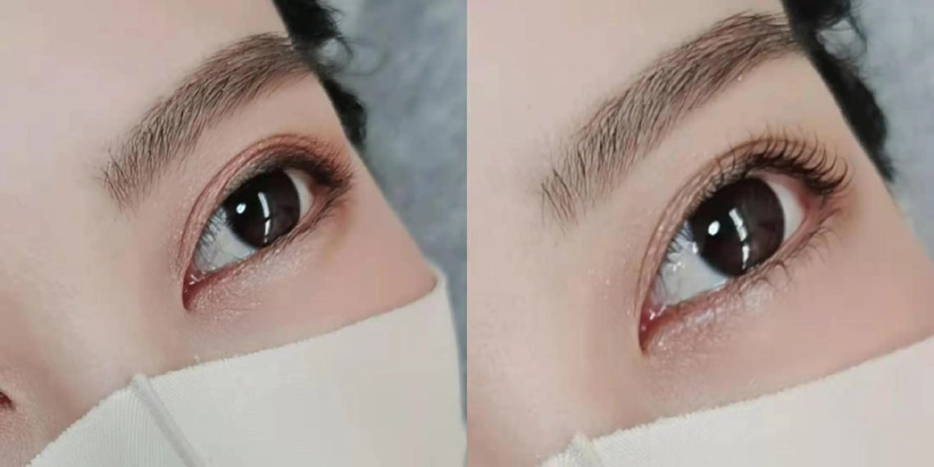 マツエク・マツパ まつげパーマ 下まつげエクステ 胡蝶蘭レディースサロ ン眉マツパエクステの眉毛・アイブロウイメージ