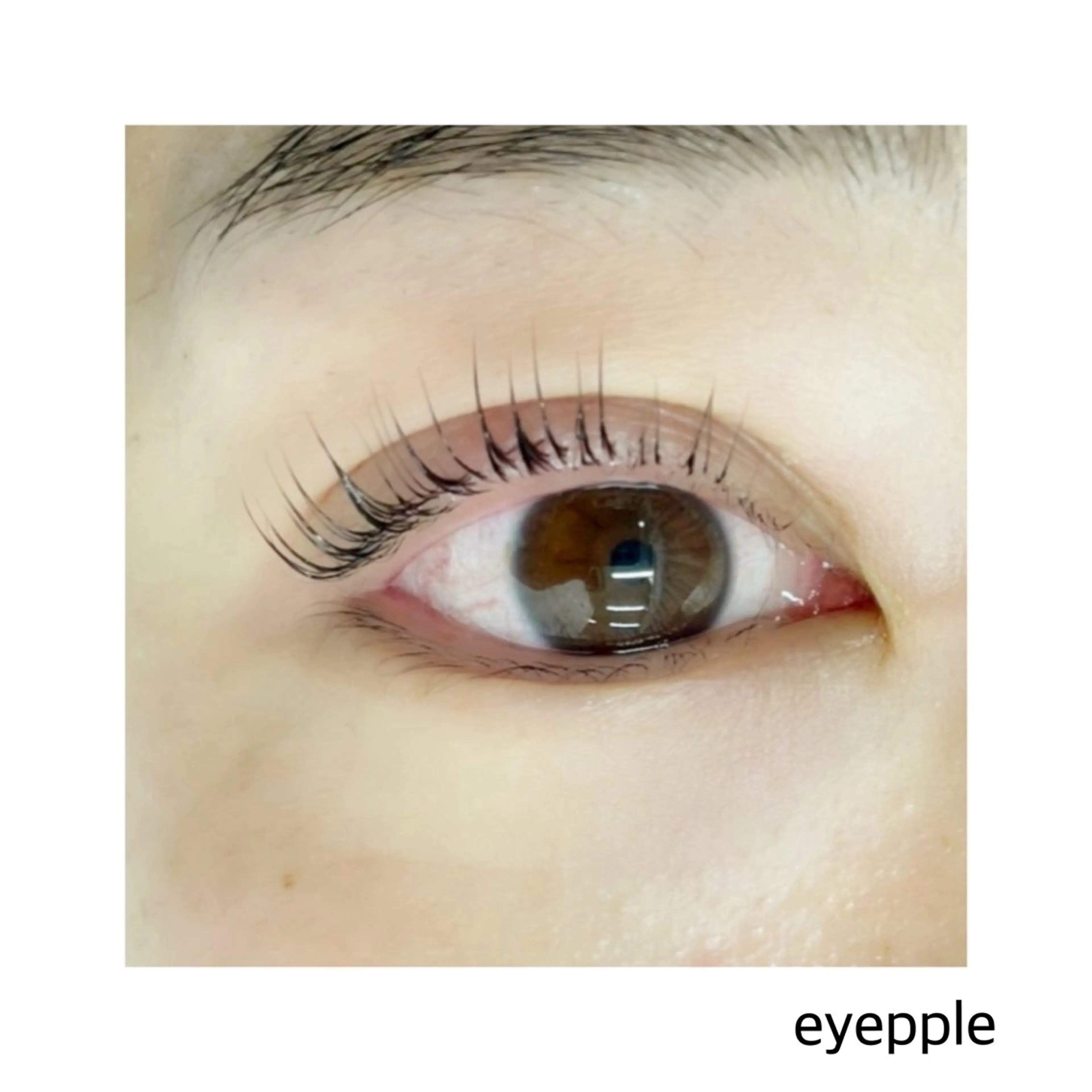 マツエク・マツパ eyepple あやのマツエク・マツパデザイン