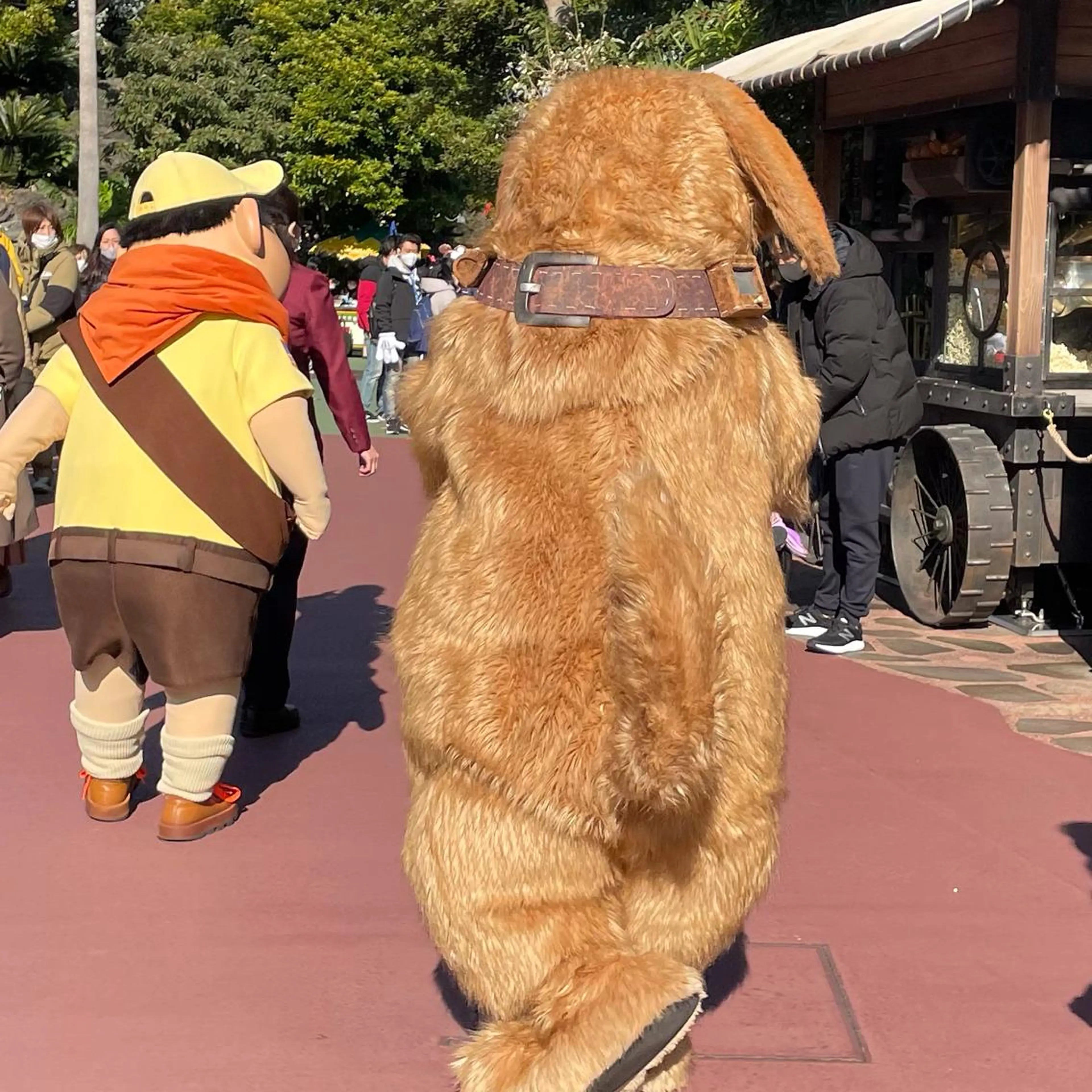 セミロング カラー ヘアアレンジ ハイトーンピンク🍑 ブリーチ🍑RINAのヘアスタイル