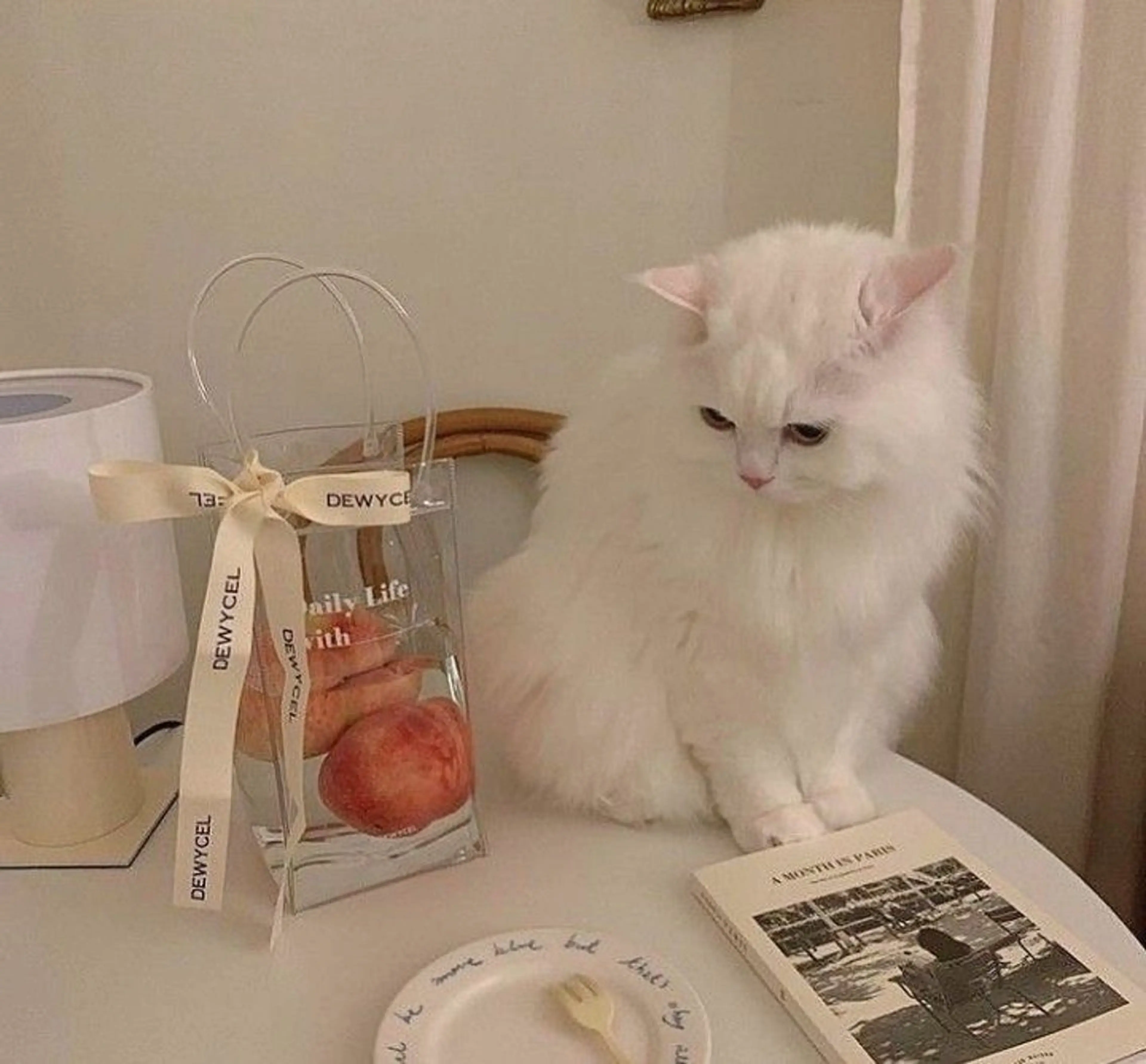 マツエク・マツパ パリジェンヌラッシュリフト まつげパーマ 一重×まつ毛パーマ 🌙eyelash kirari🌙のマツエク・マツパデザイン