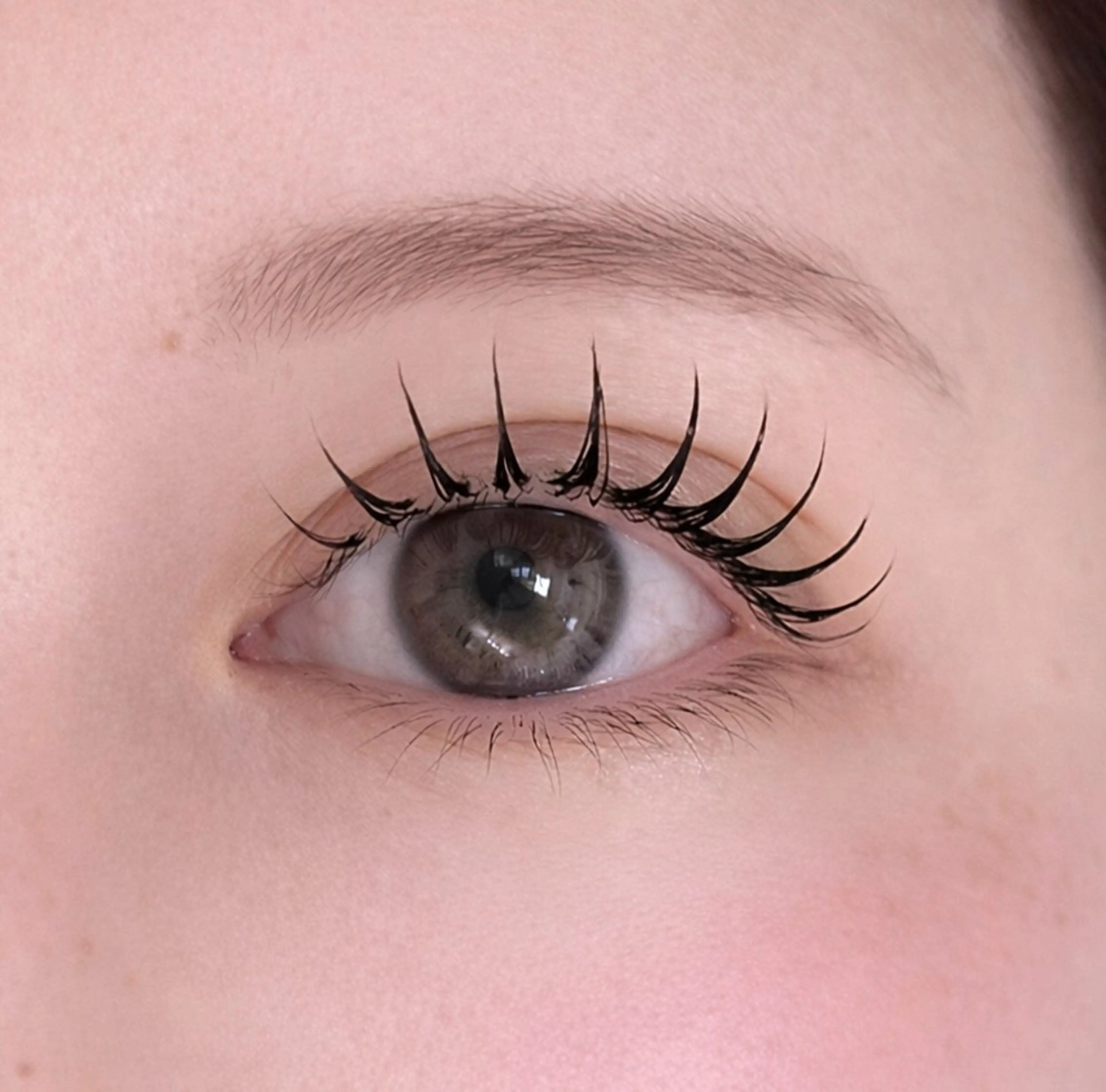 マツエク・マツパ マツエク 💛ROAR💛 kumikoのマツエク・マツパデザイン