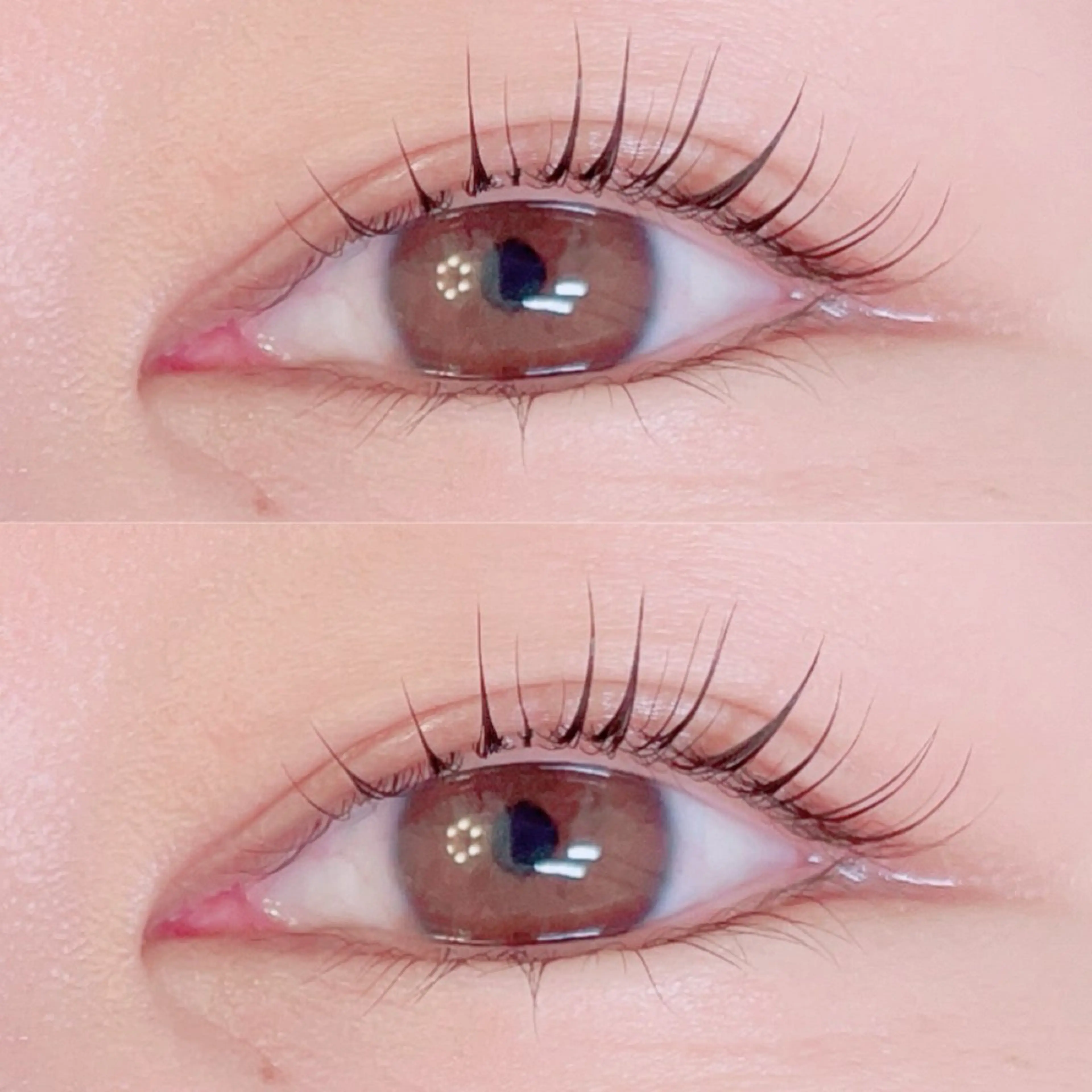 マツエク・マツパ stella eyelashのマツエク・マツパデザイン