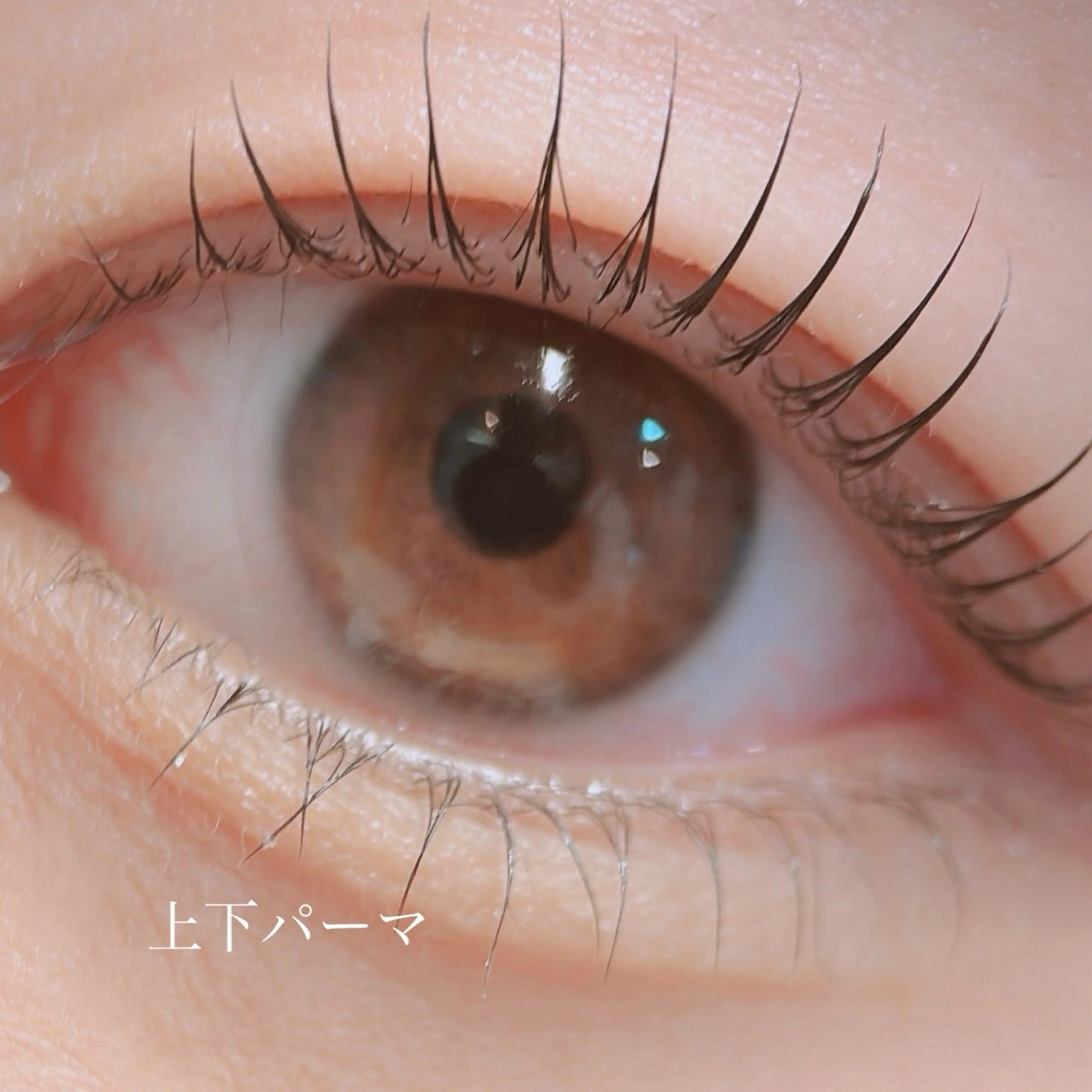 マツエク・マツパ eye salon Dのマツエク・マツパデザイン