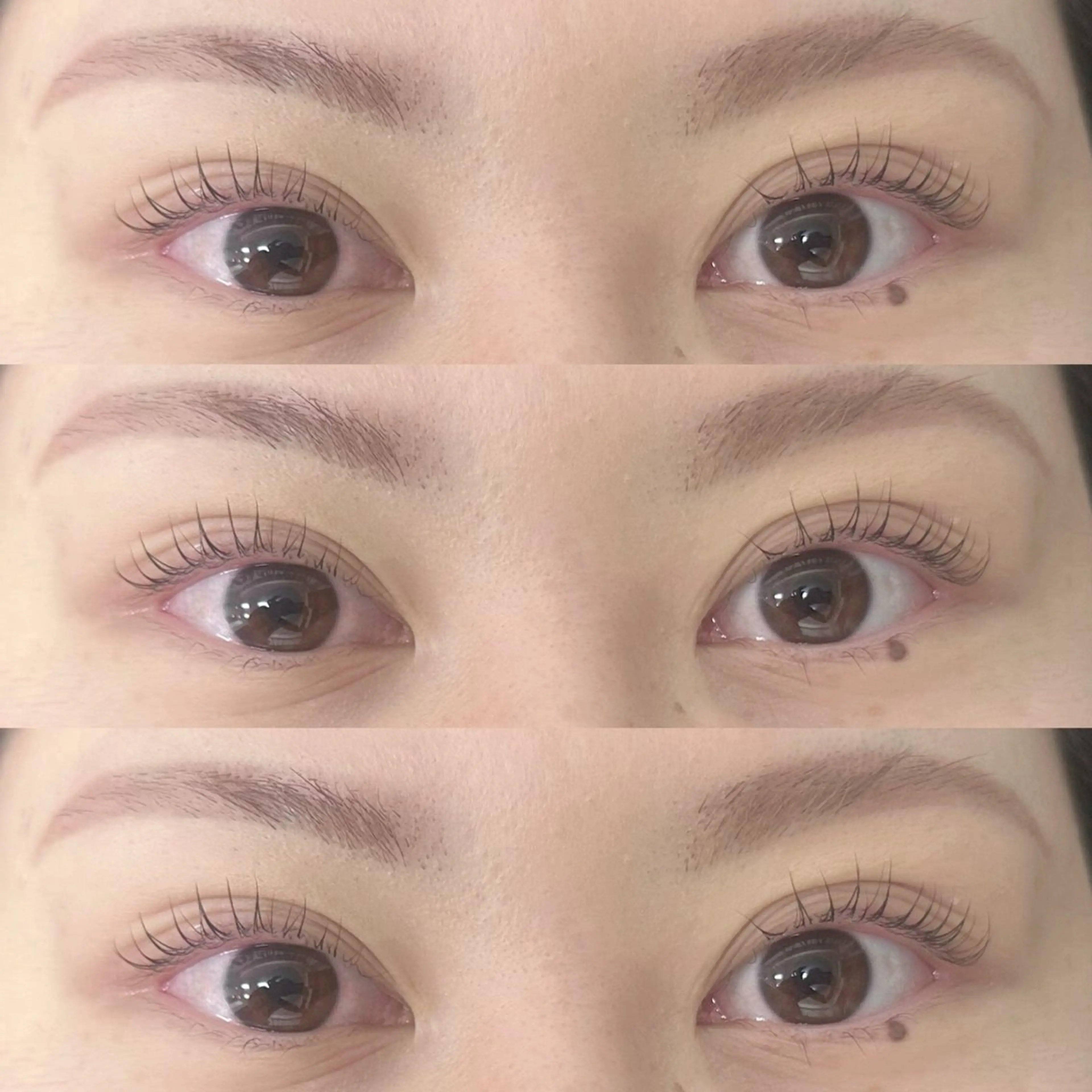 18日14時15分​〜​のみのご予約　アイブロウスタイリング&ラッシュリフト/パリジェンヌラッシュリフト上　90分無料の写真