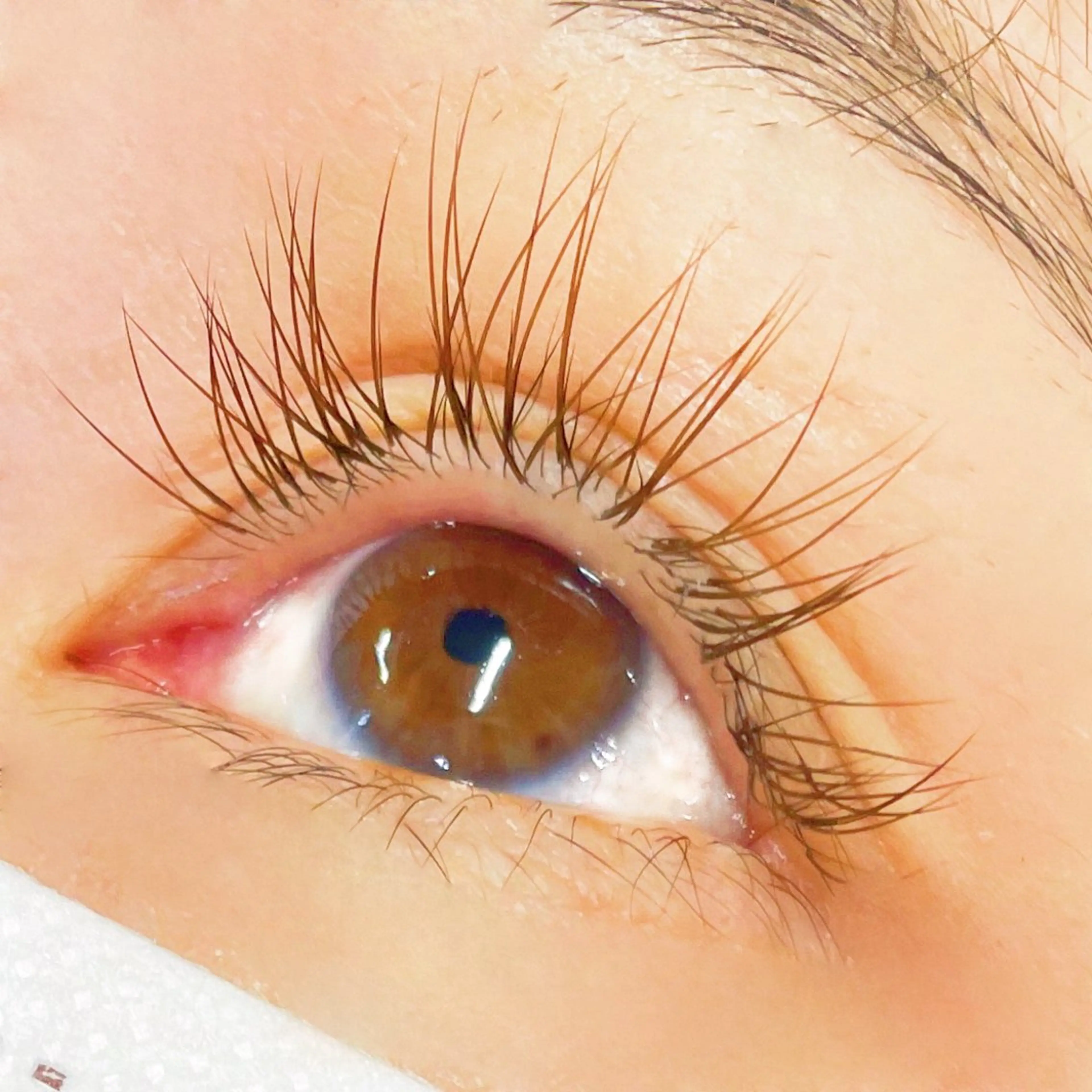 マツエク・マツパ カラーマツエク Jカール セーブル お客様専用 🤍のマツエク・マツパデザイン