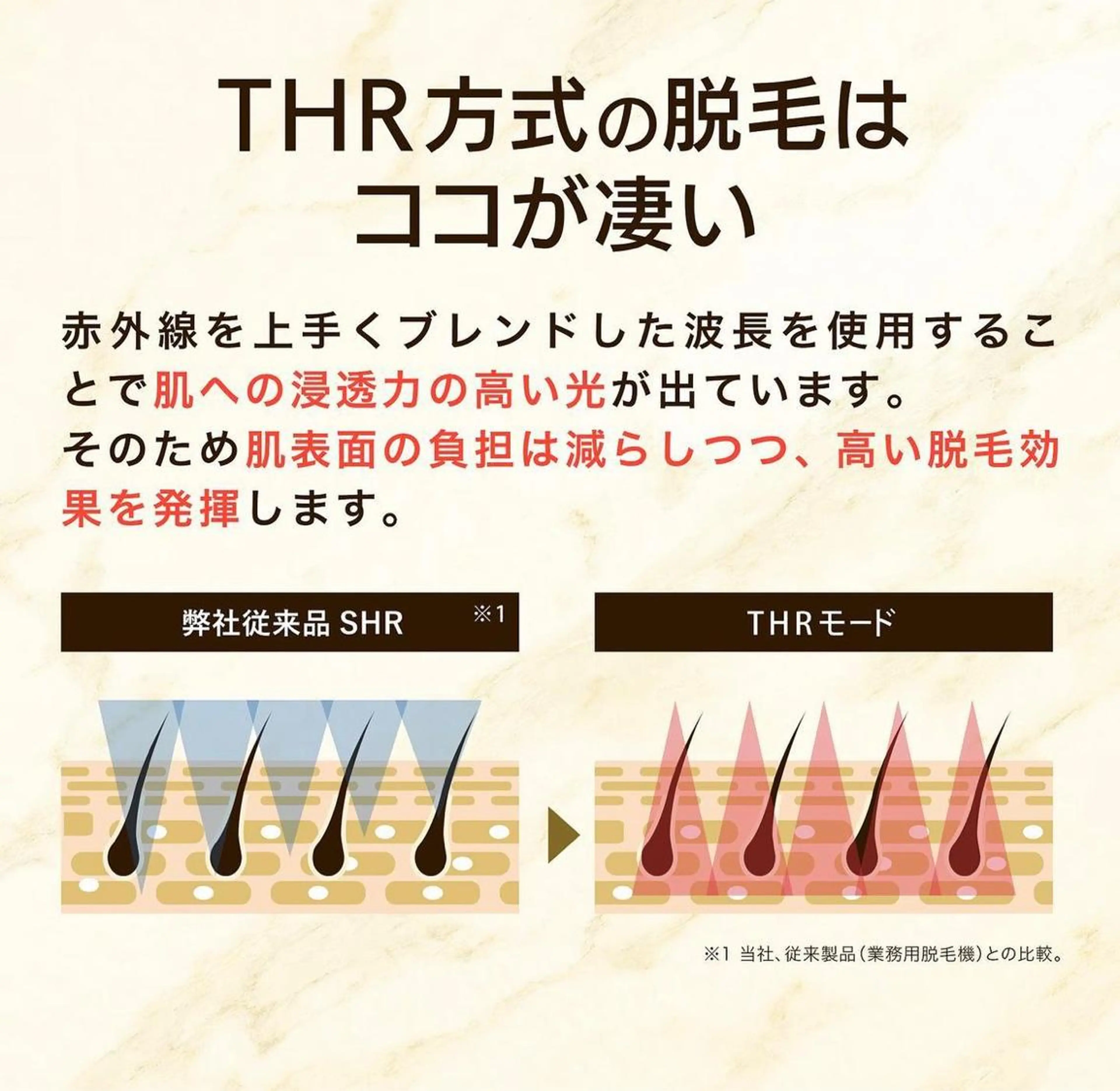 esperanza エスペランサのその他イメージ