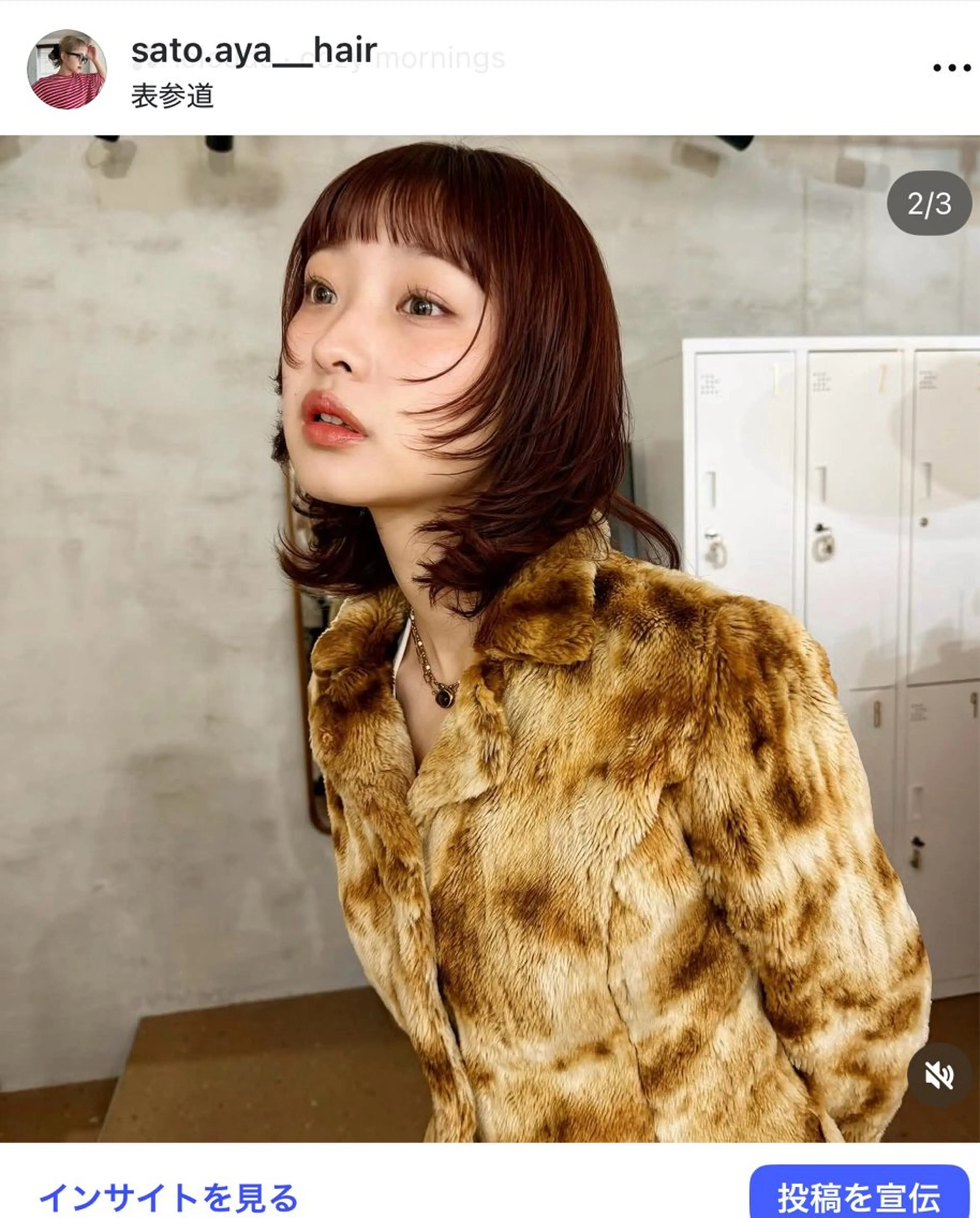 ミディアム ❤️アヤカ Wカラー ボブ レイヤー❤️のヘアスタイル