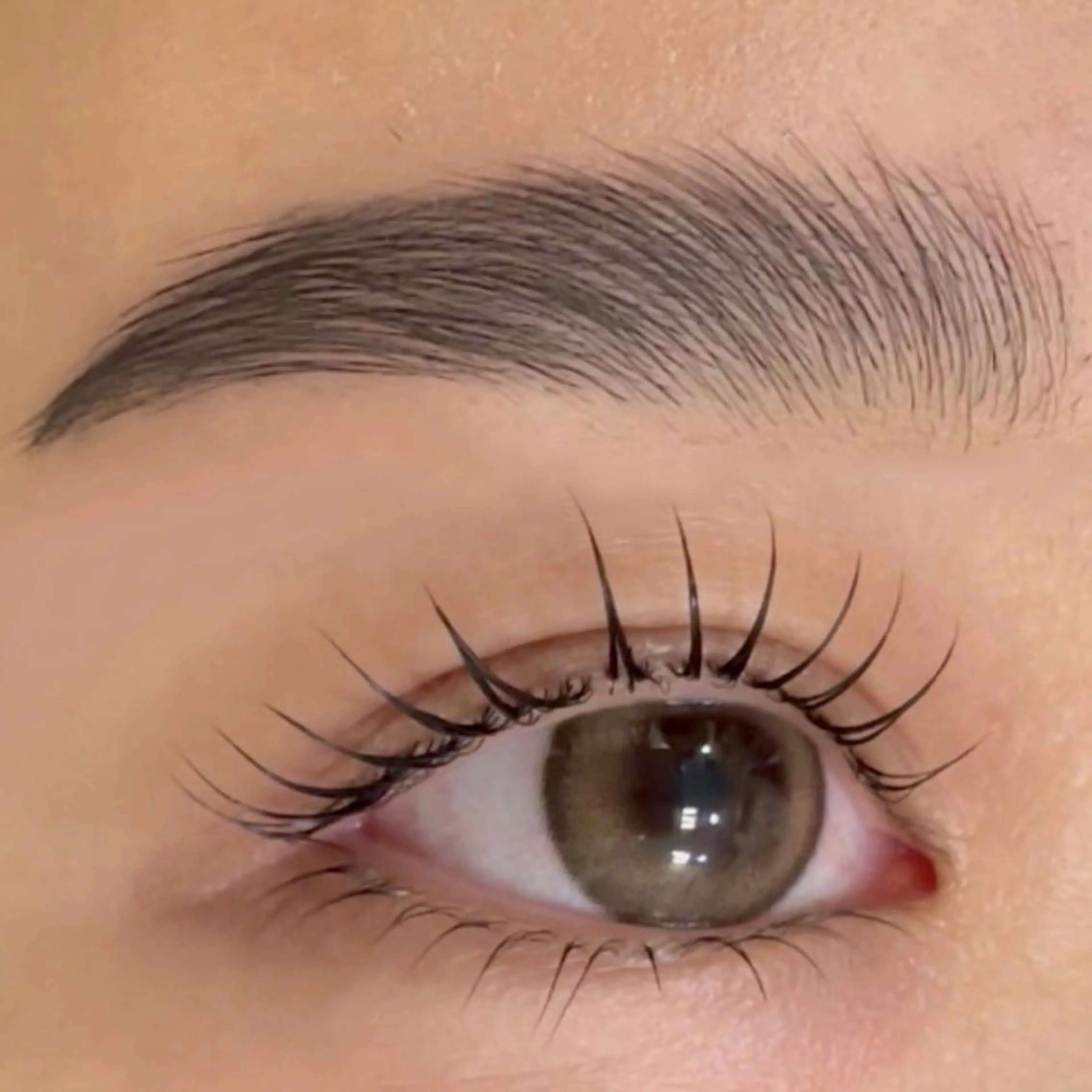 ☆平日限定(8月）整 形 級☆まつ毛パーマ×ハリウッド18800→9000の写真