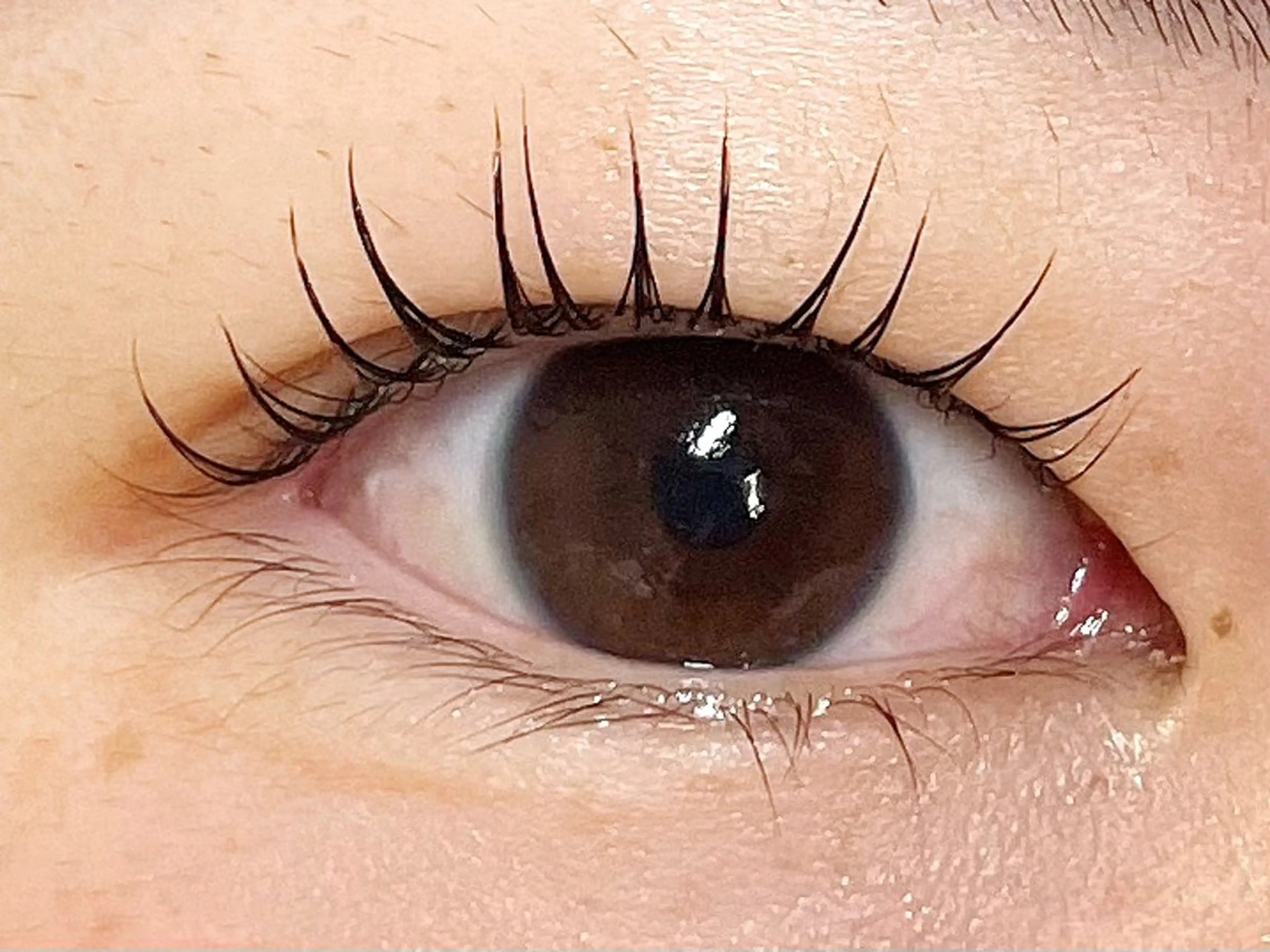 マツエク・マツパ マツパ eyelash CLAYの眉毛・アイブロウイメージ