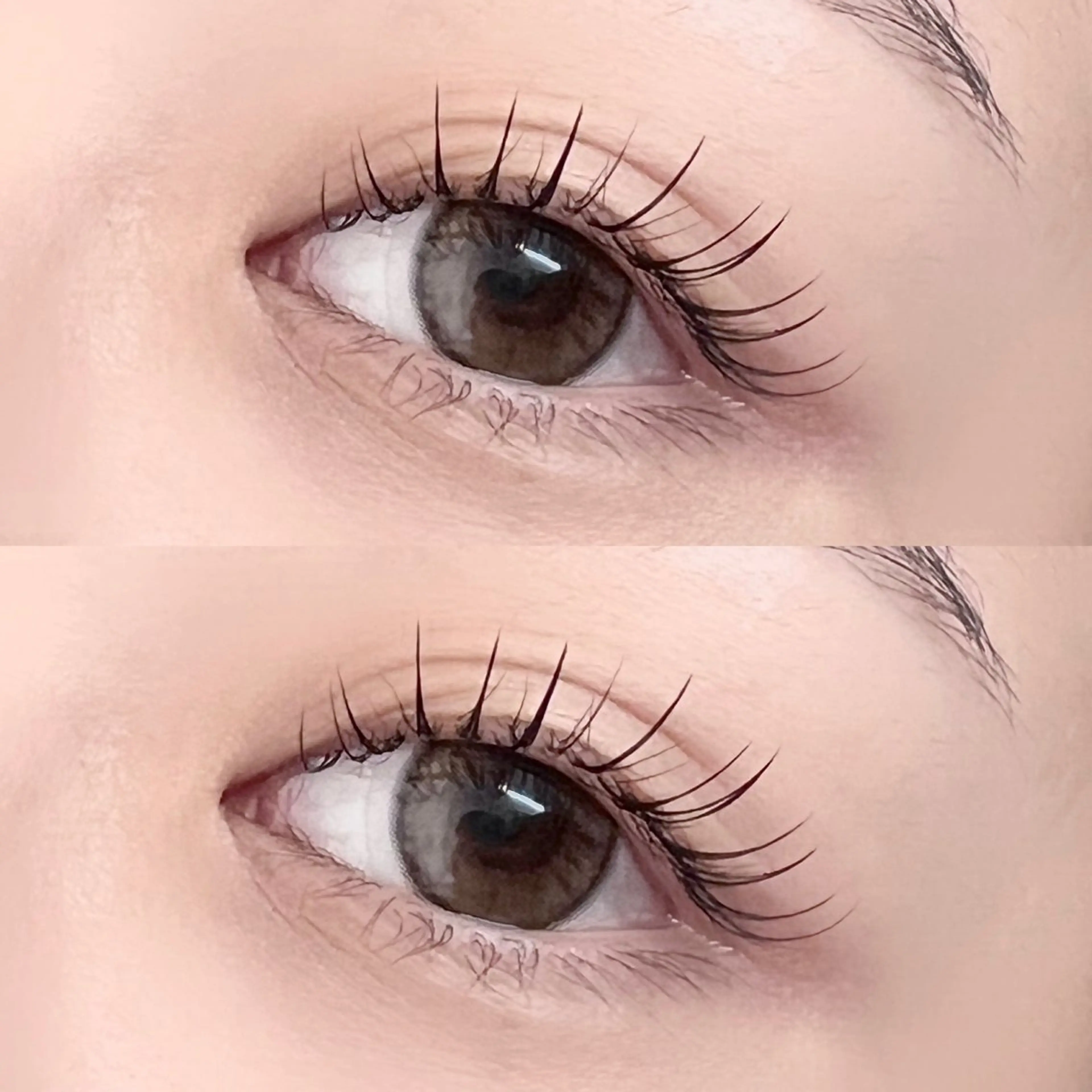 ⭐️期間限定⭐️トップアイリスト施術🧚🏻‍♀️【パリエク60本/Wフラット装着】の写真
