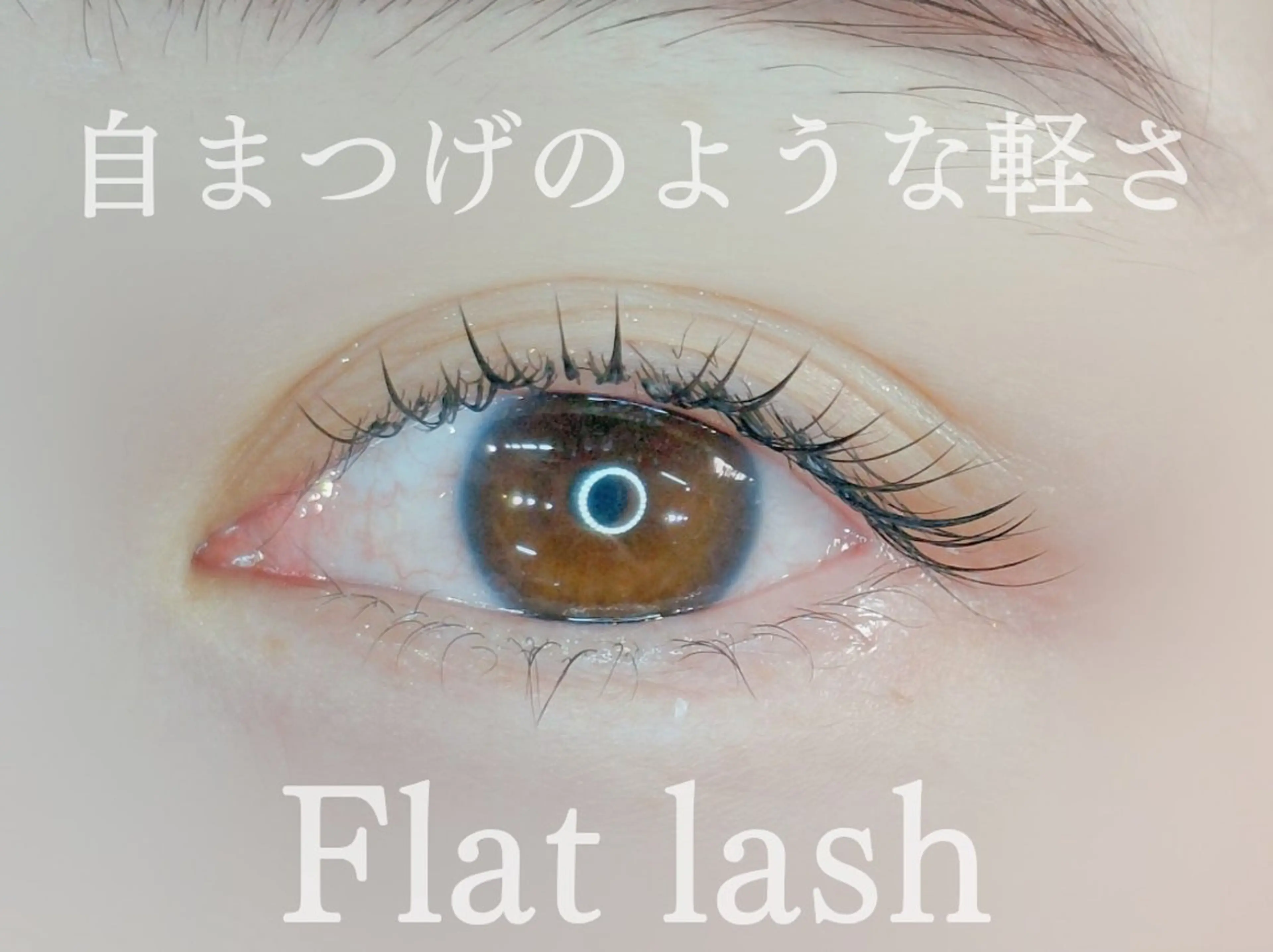 マツエク・マツパ フラットラッシュ ワタナベ シイナのマツエク・マツパデザイン