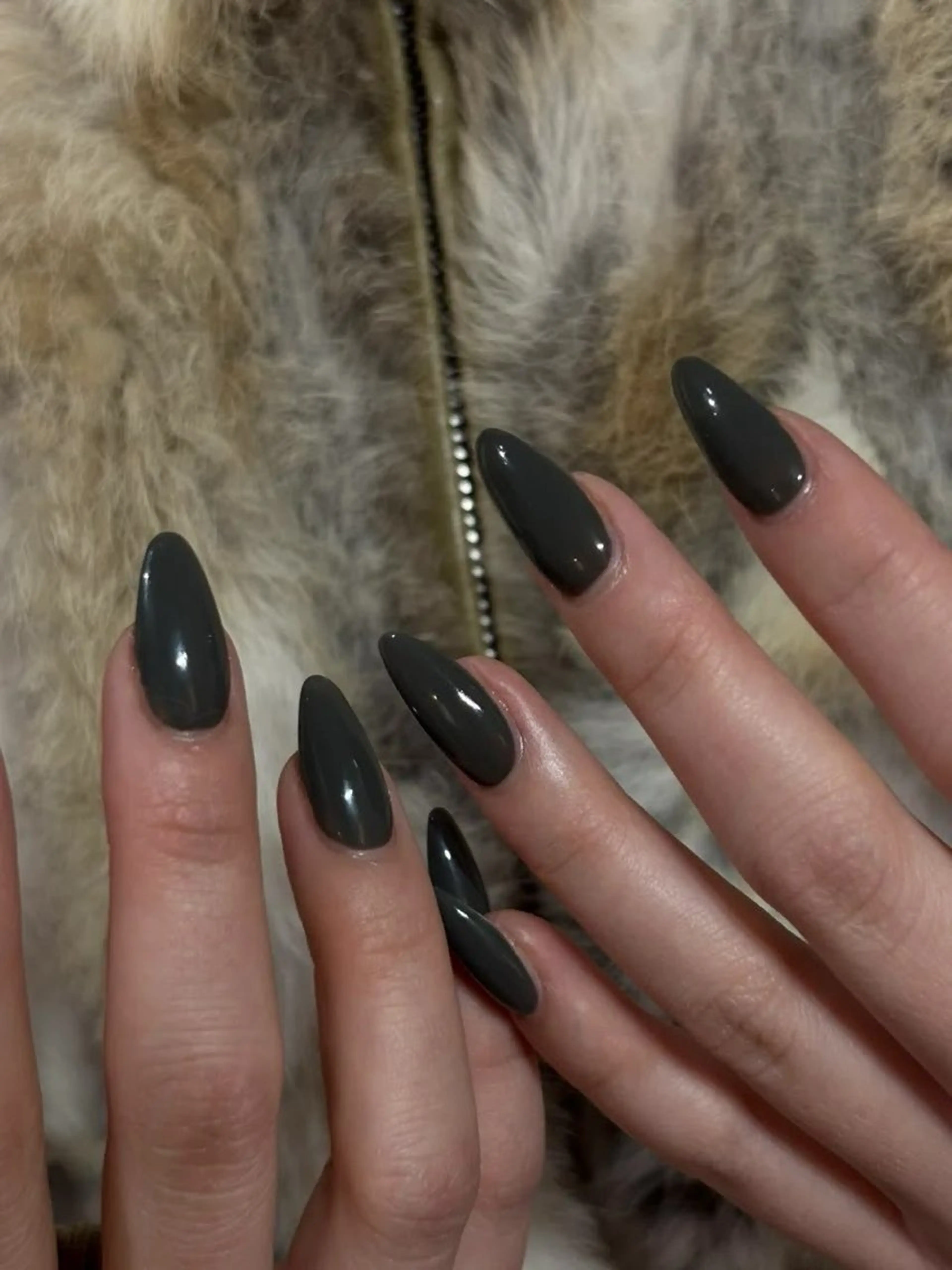 カラー D.d nail Tokoのネイルデザイン