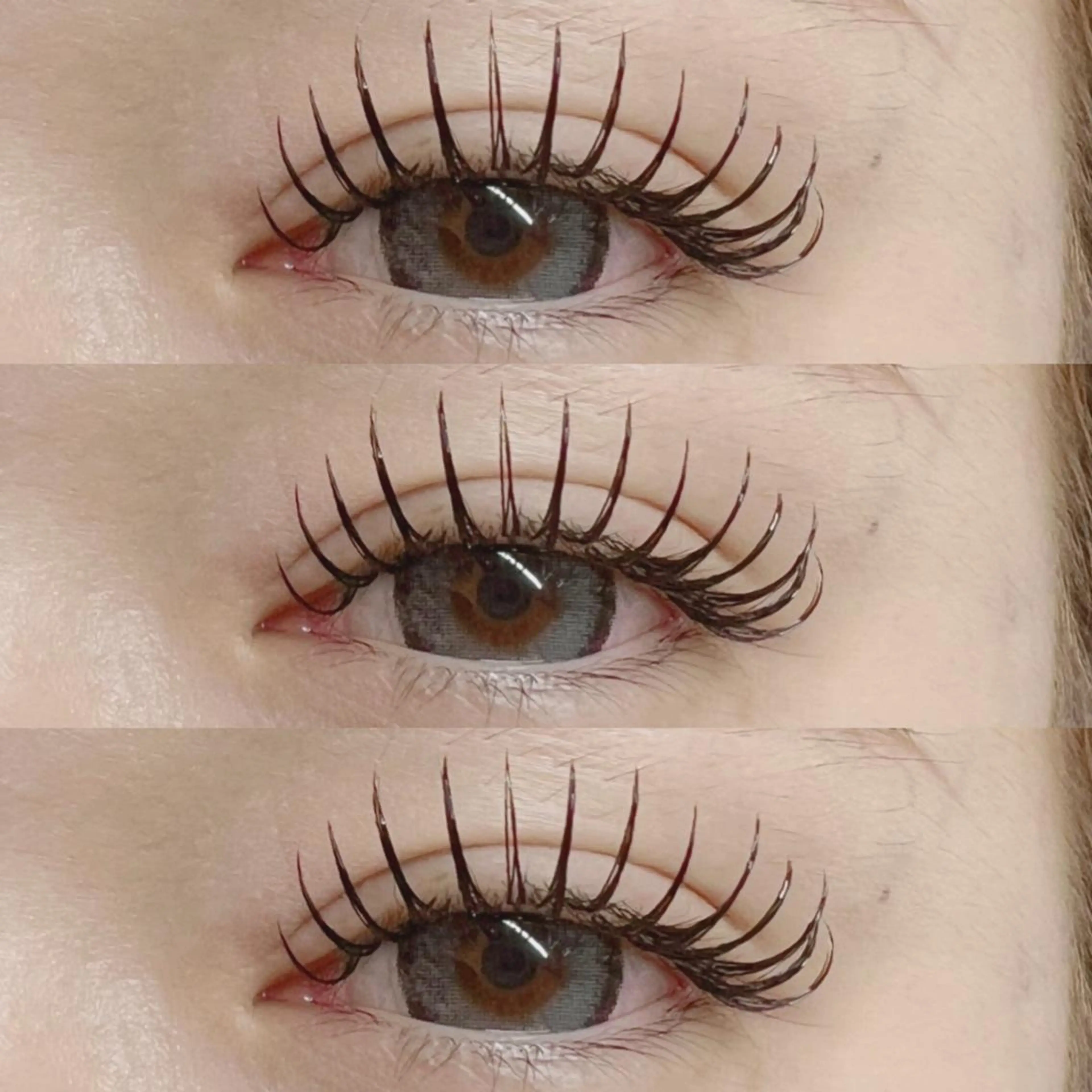 【当日のみ特別価格】オフ込/バインドロック100束🌻🫧コーティング付 ¥5980の写真