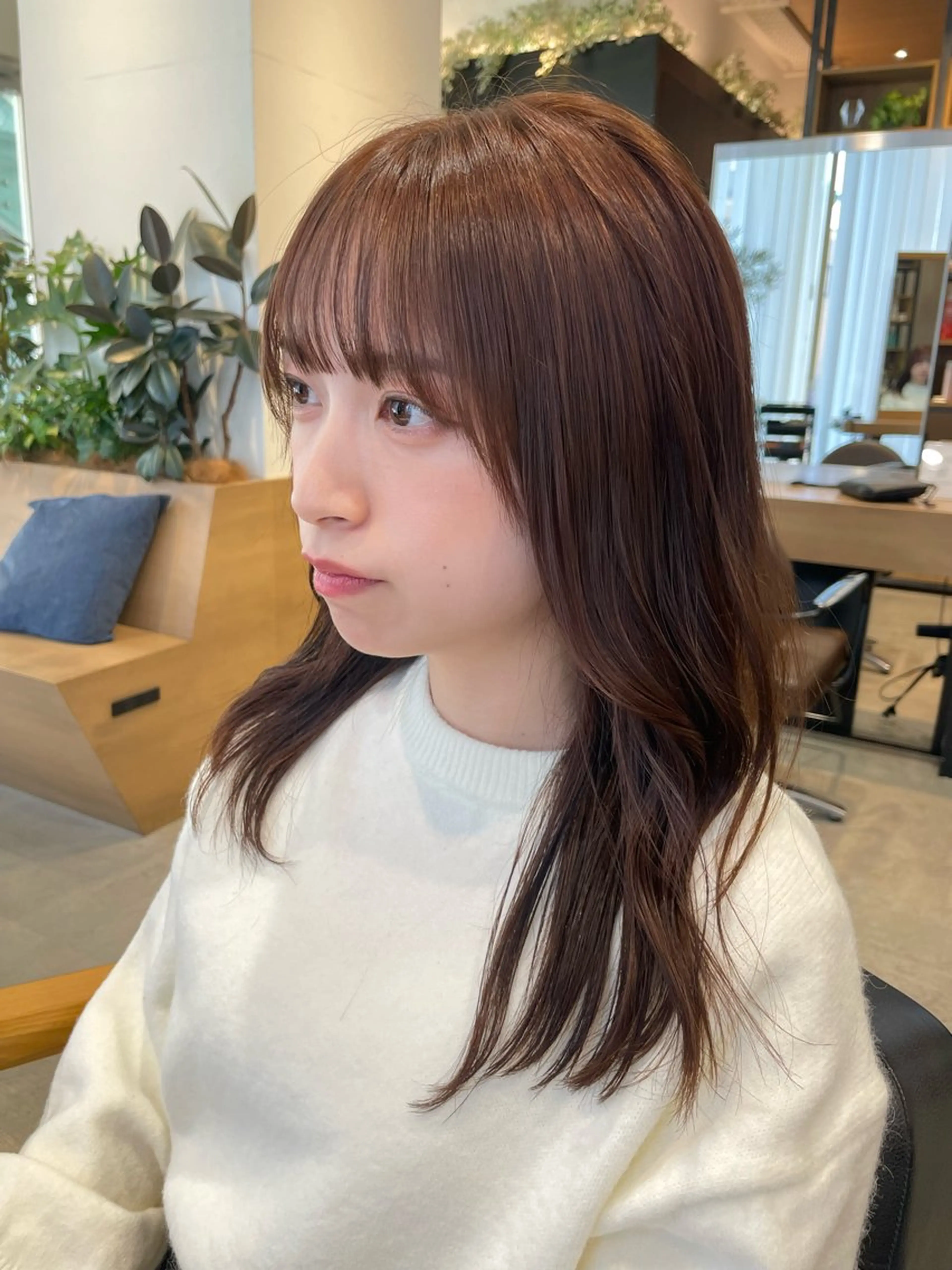 🍀【minimo限定】🍀レイヤーカット募集‼️レングス鎖骨以上の方+サラサラトリートメント付き🌈の写真