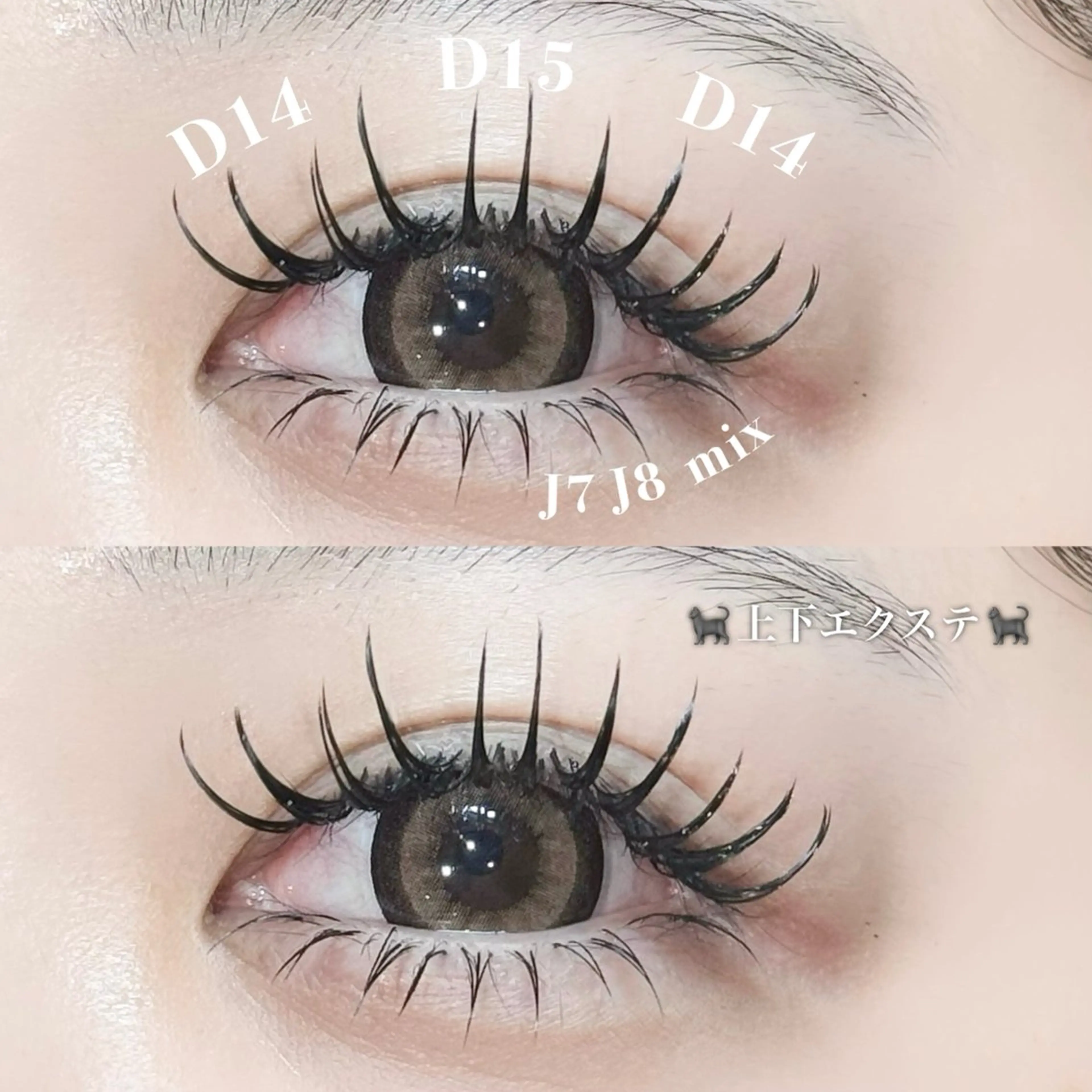 マツエク・マツパ 付け放題 バインドロック フラットラッシュ 韓国風マツエク パリジェンヌラッシュリフト マツエク 【Bloomy.】 竹内のマツエク・マツパデザイン