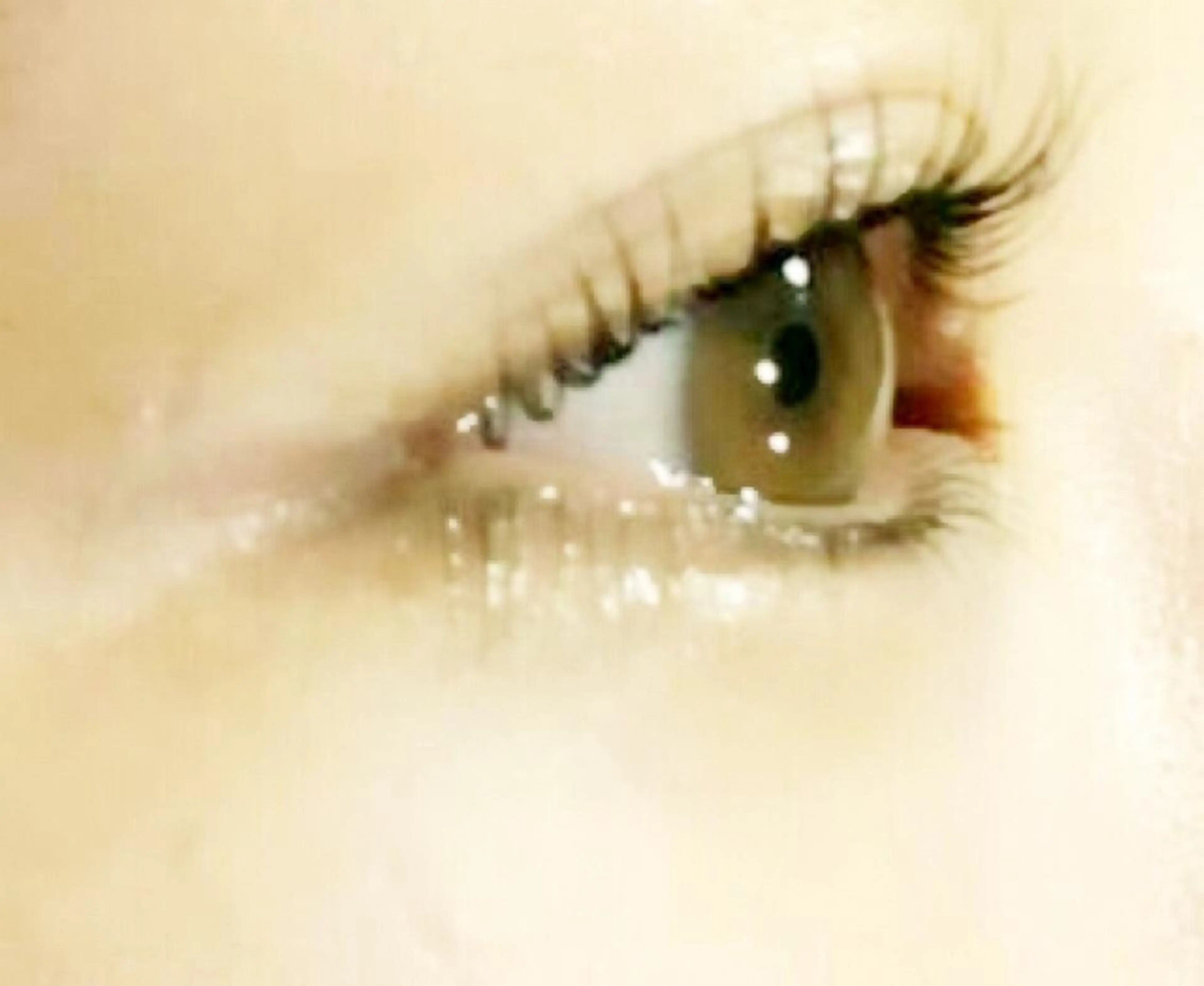 ラッシュリフト+次世代まつげパックの写真