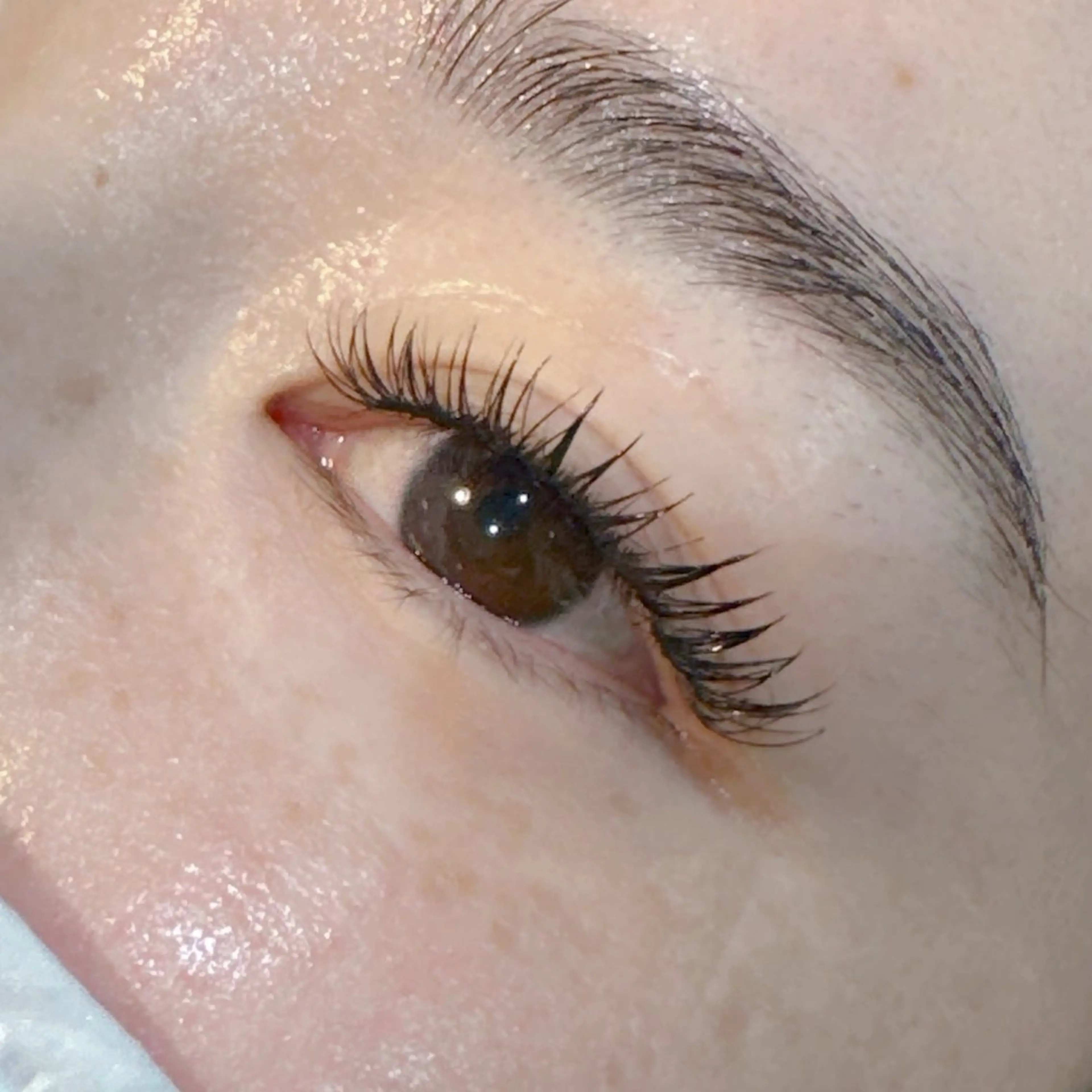 マツエク・マツパ PROGRESS 龍ヶ崎 小泉🦋のマツエク・マツパデザイン