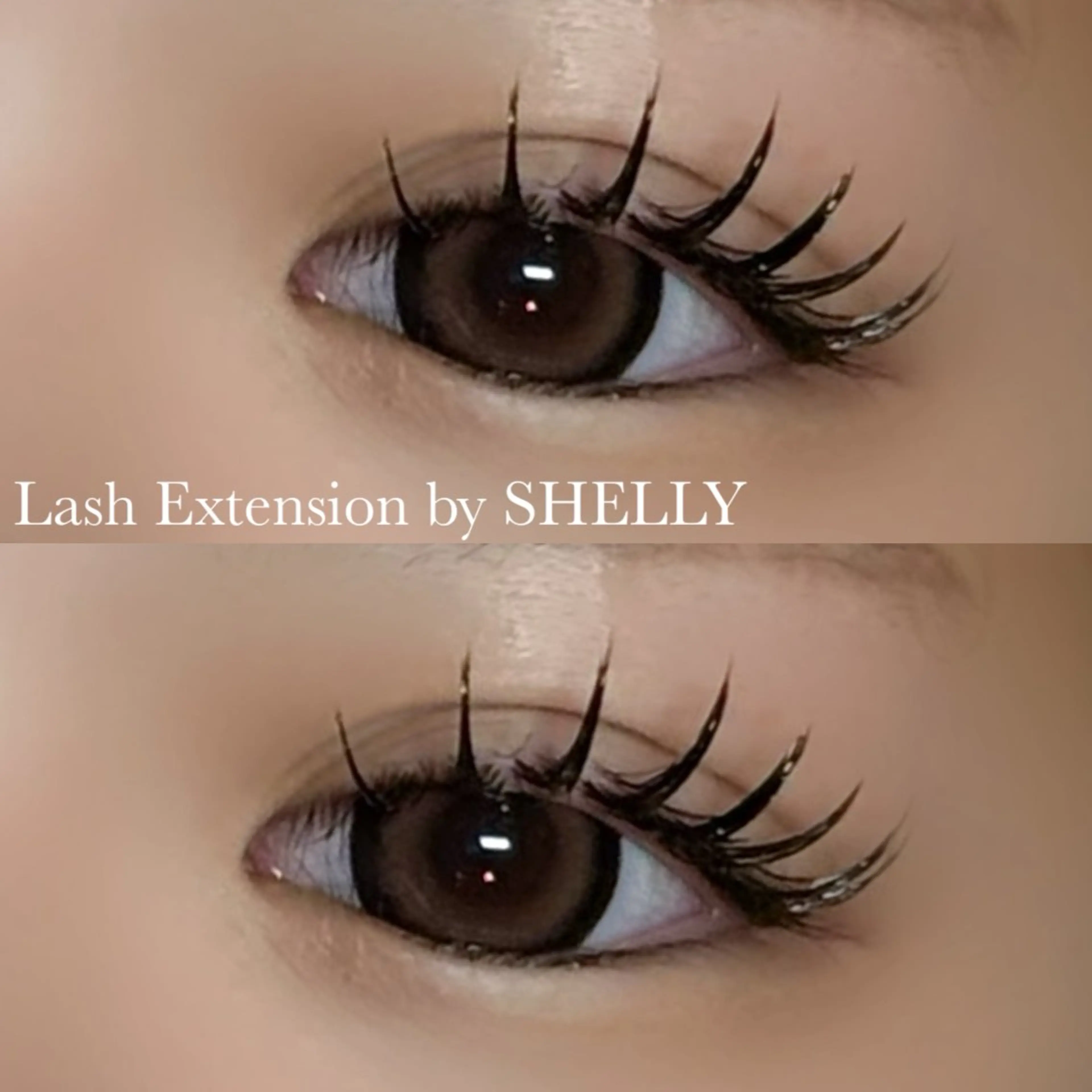 フラットラッシュ100本➕アイシャンプー➕コーティングの写真