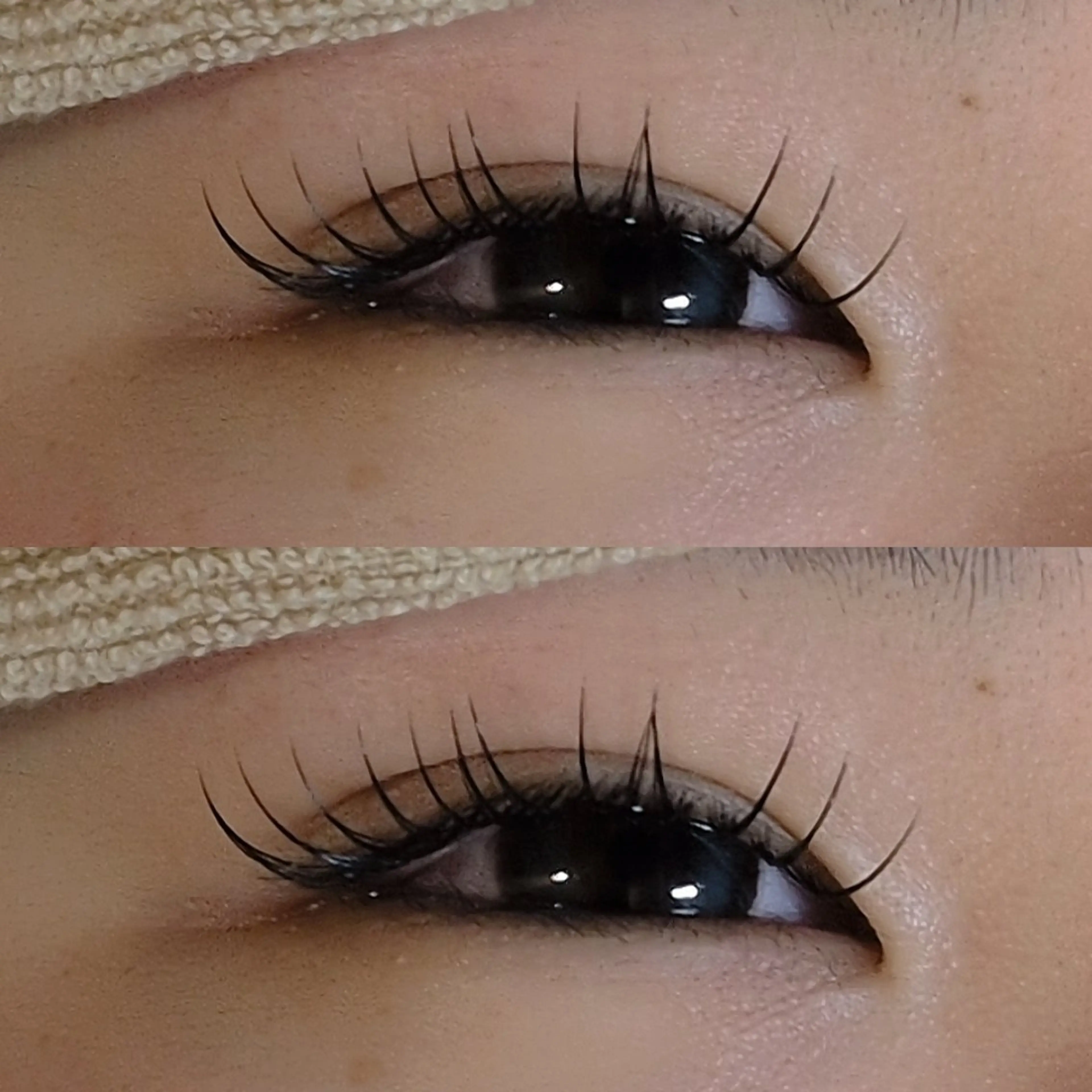 フラットラッシュ100本までつけ放題👀の写真
