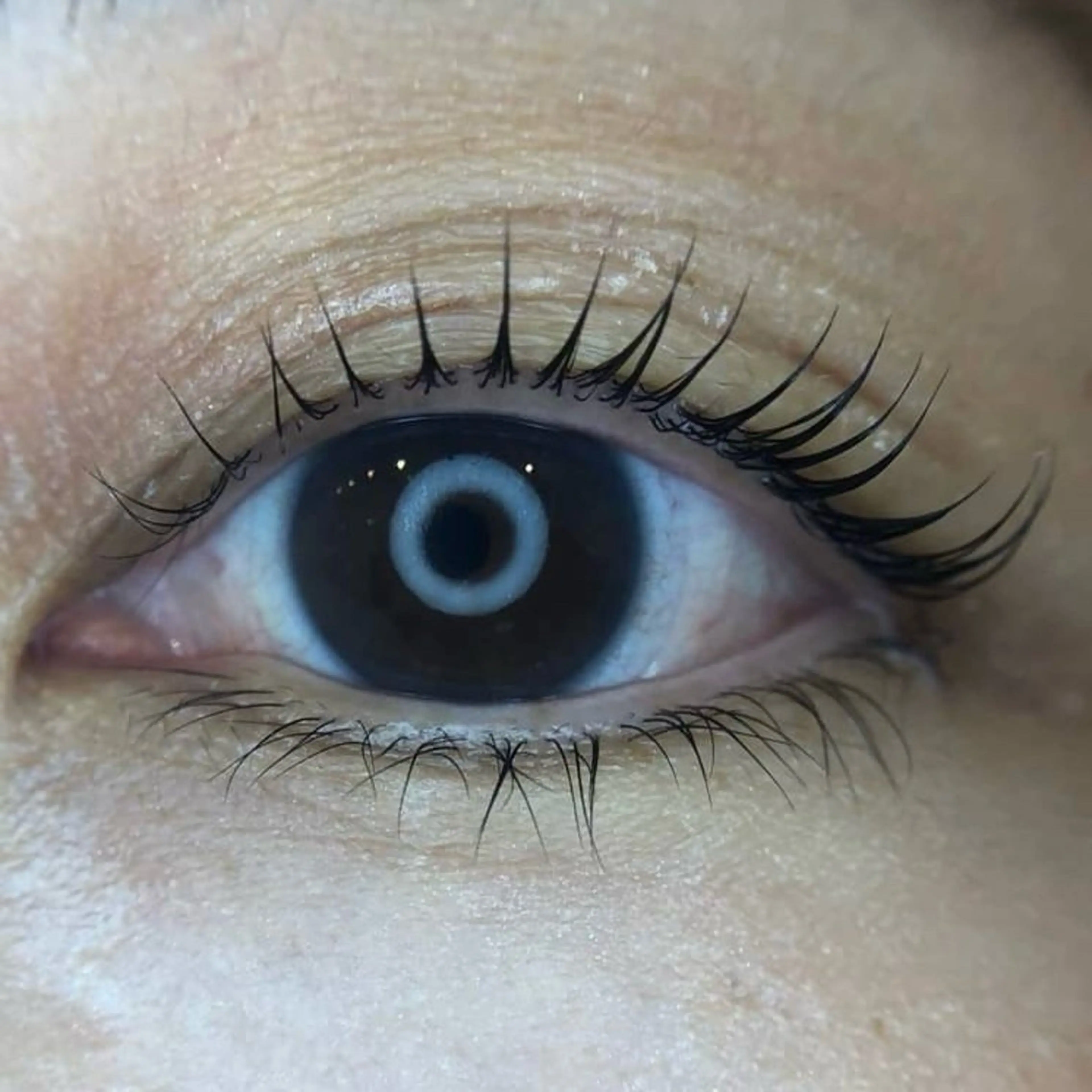 マツエク・マツパ パリジェンヌラッシュリフト 一重×まつ毛パーマ メゾンドシャルム NISHIKAWAのマツエク・マツパデザイン